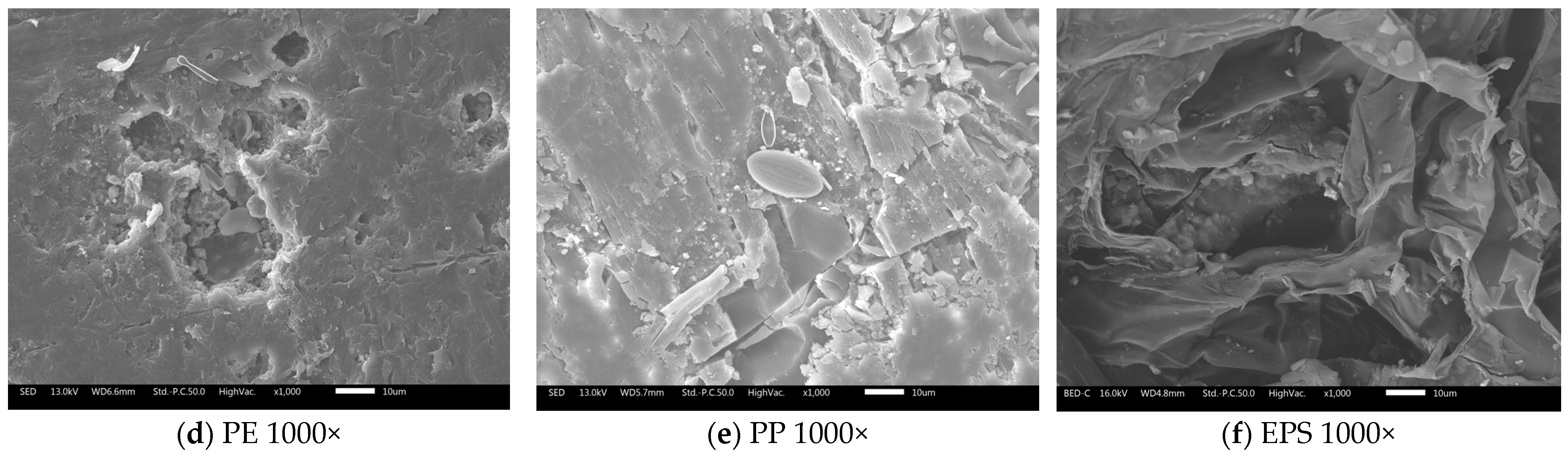 Microplastics 05 00057 g008b Microplastics 05 00057 g008b