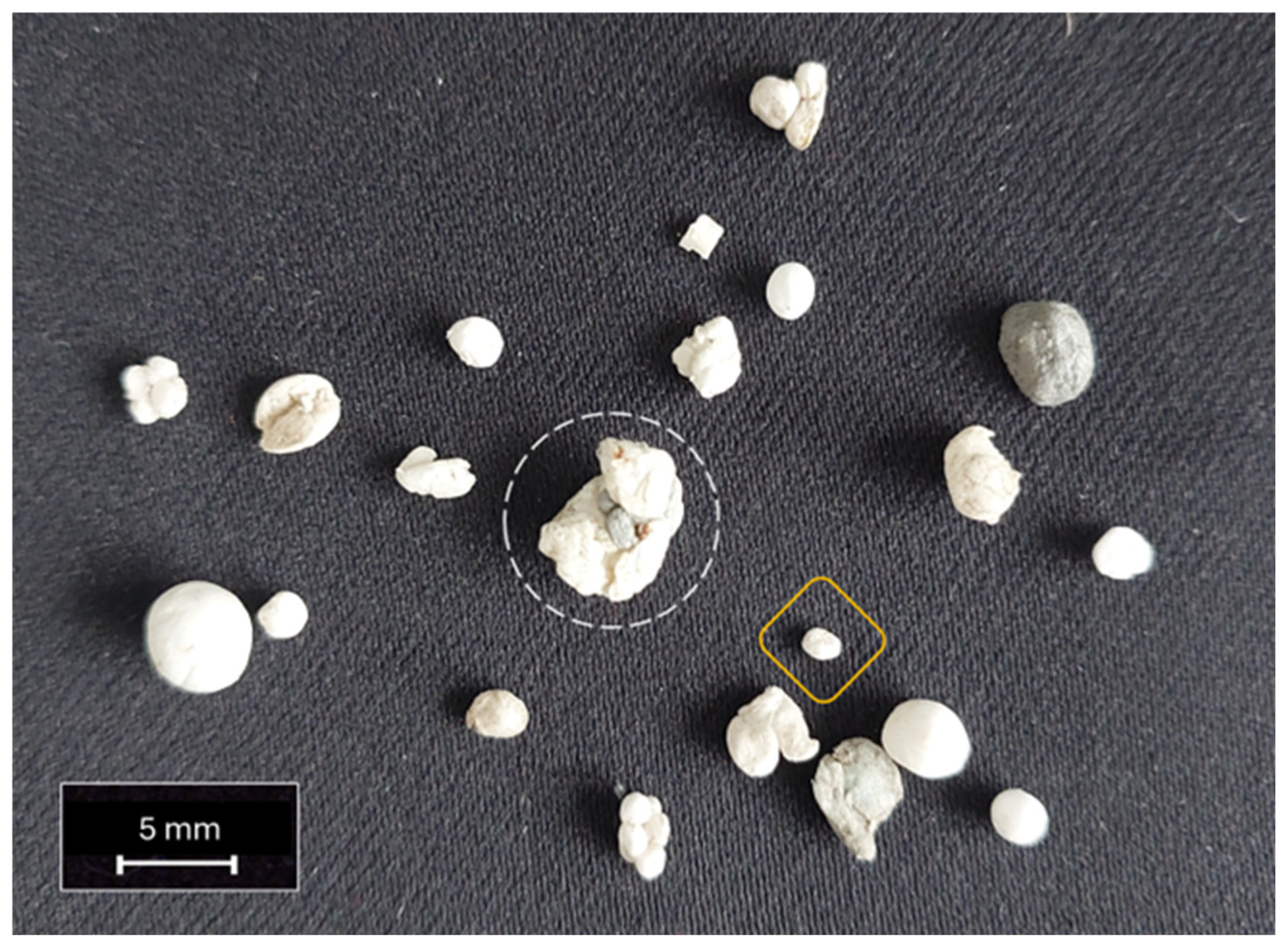 Microplastics 05 00057 g010 Microplastics 05 00057 g010