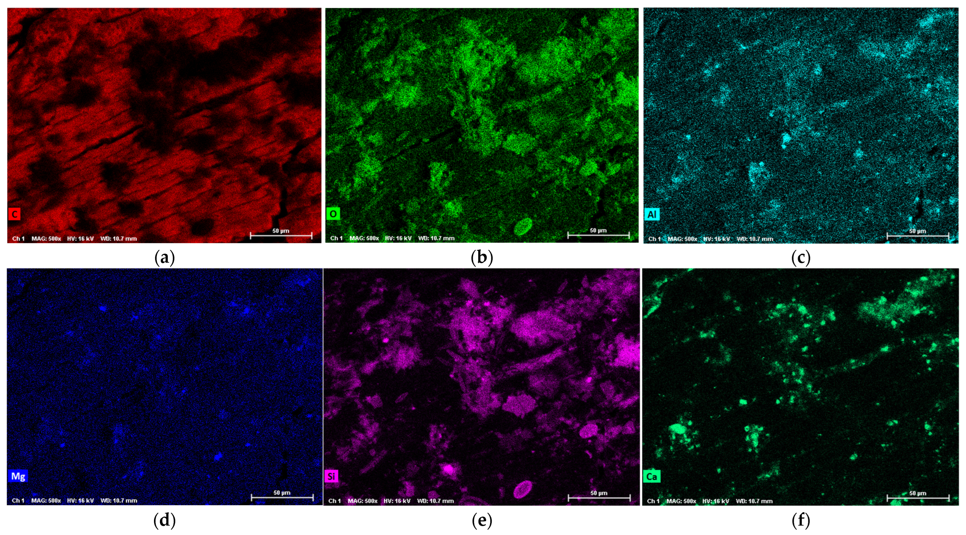 Microplastics 05 00057 g0a11a Microplastics 05 00057 g0a11a