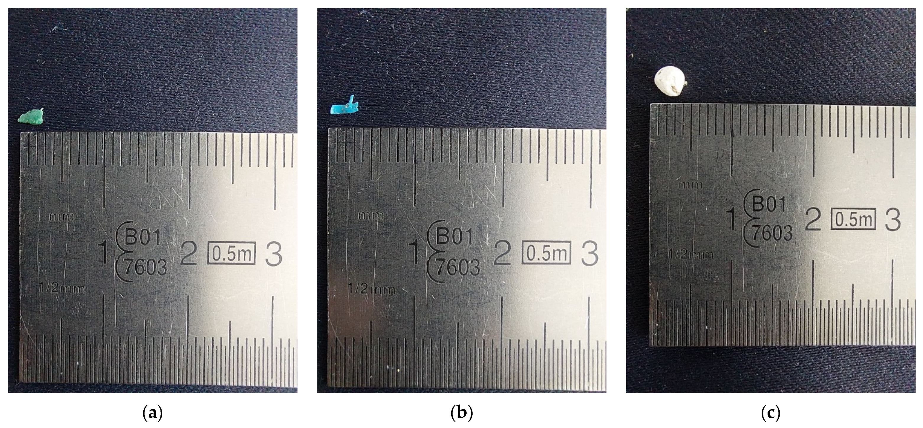Microplastics 05 00057 g0a2 Microplastics 05 00057 g0a2