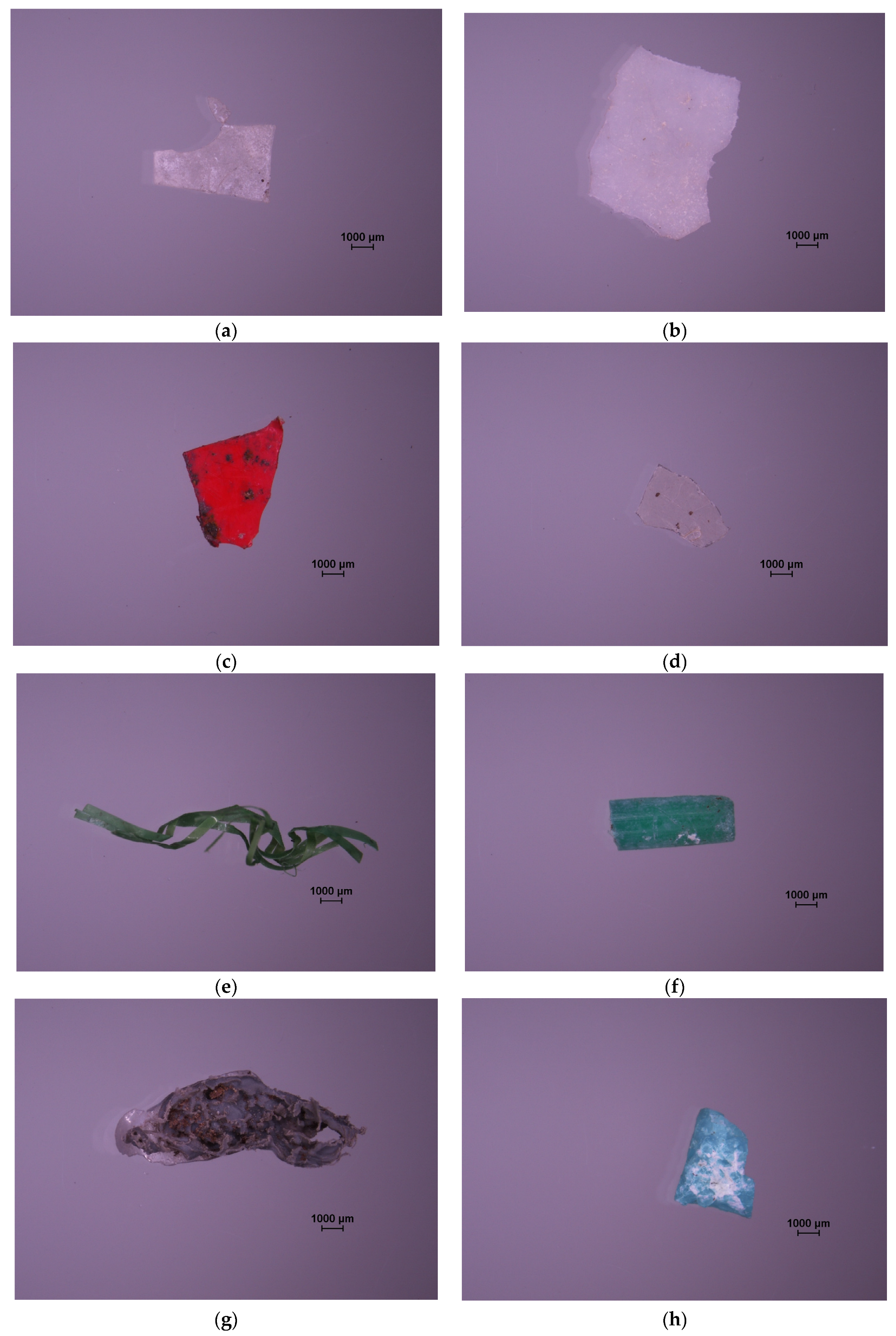 Microplastics 05 00057 g0a3 Microplastics 05 00057 g0a3