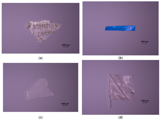 Microplastics 05 00057 g0a4