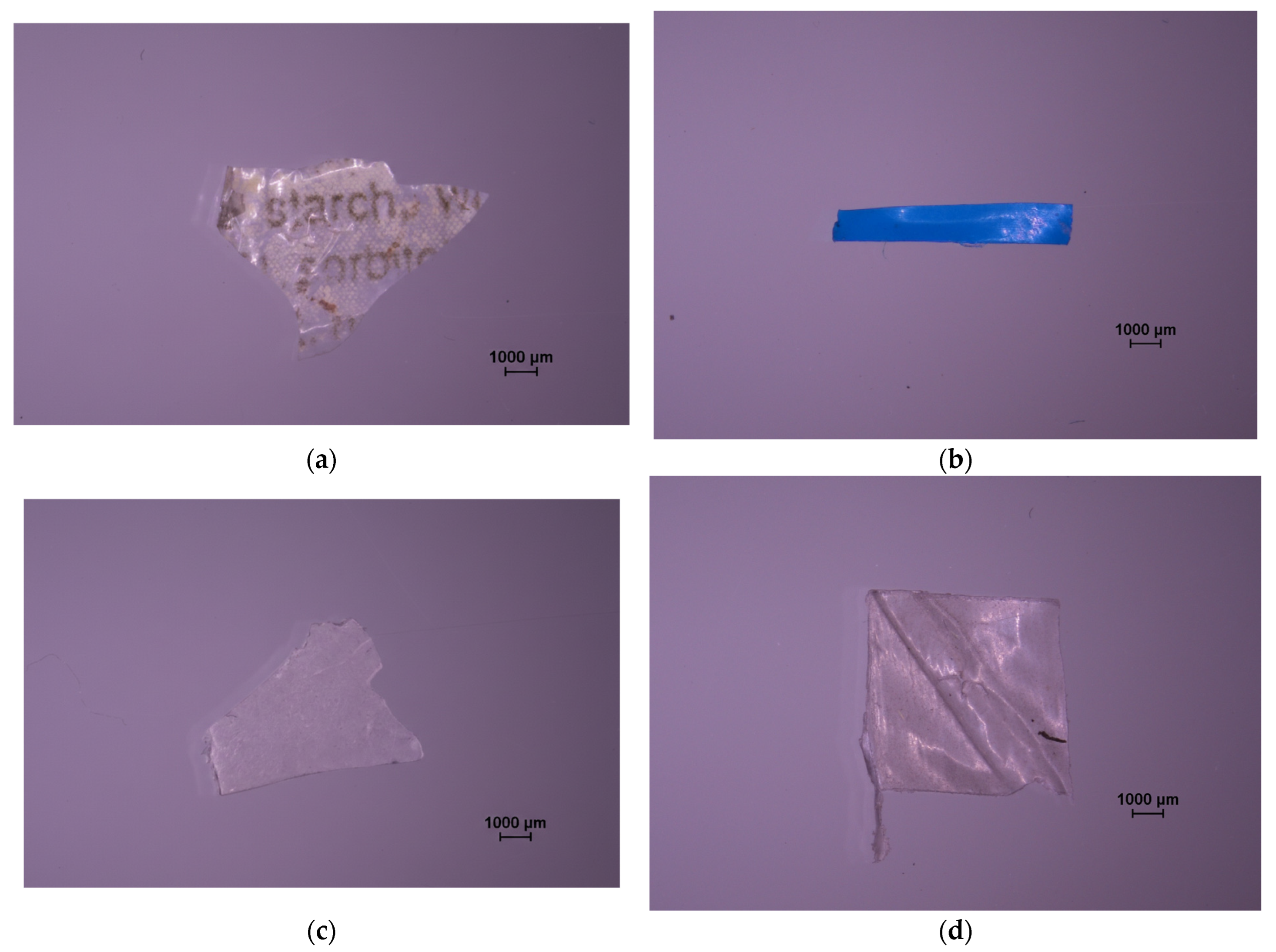 Microplastics 05 00057 g0a4 Microplastics 05 00057 g0a4