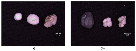 Microplastics 05 00057 g0a5a
