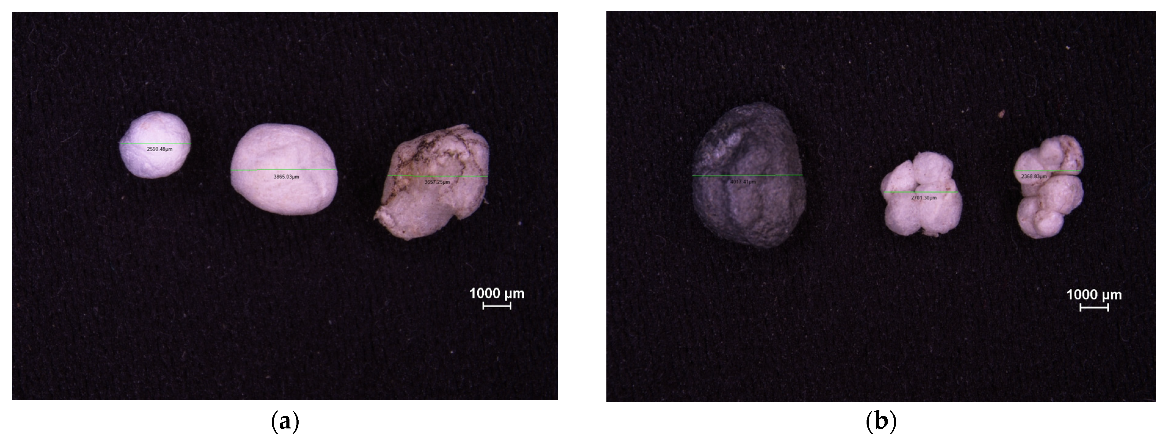 Microplastics 05 00057 g0a5a Microplastics 05 00057 g0a5a