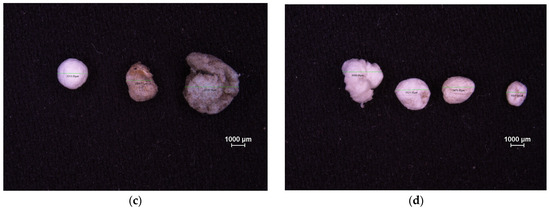 Microplastics 05 00057 g0a5b