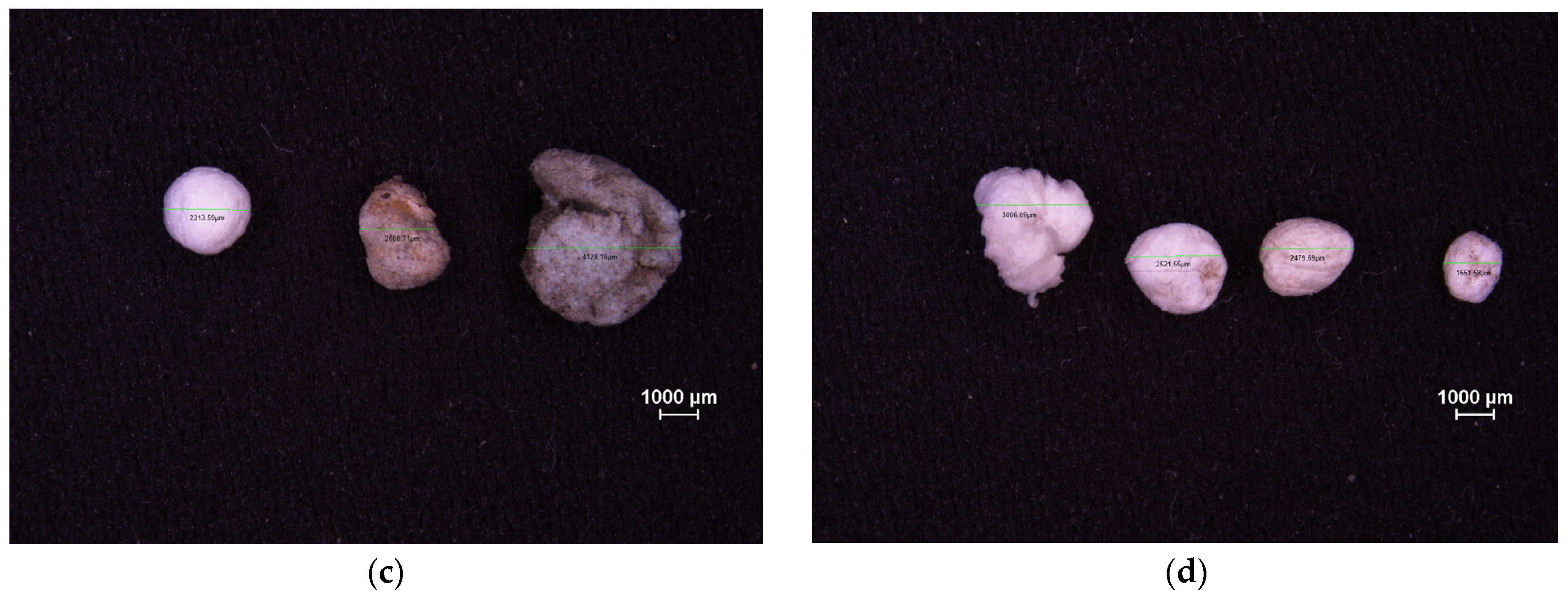 Microplastics 05 00057 g0a5b Microplastics 05 00057 g0a5b