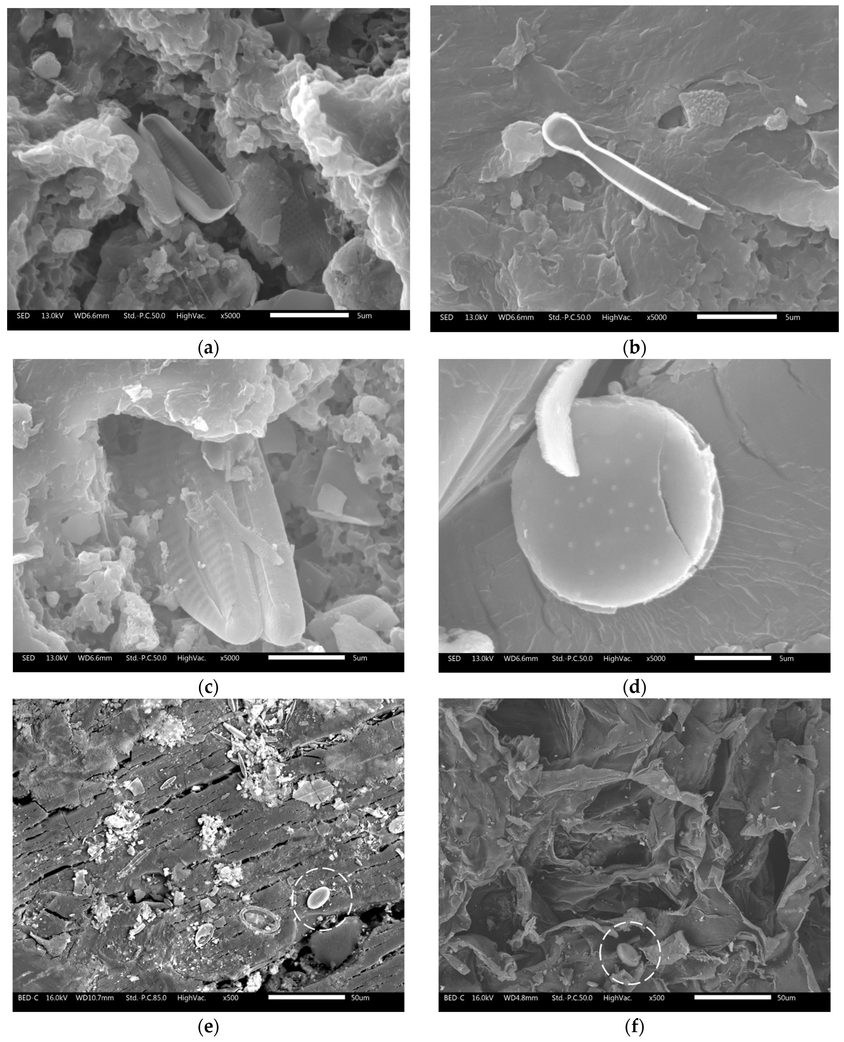 Microplastics 05 00057 g0a9 Microplastics 05 00057 g0a9