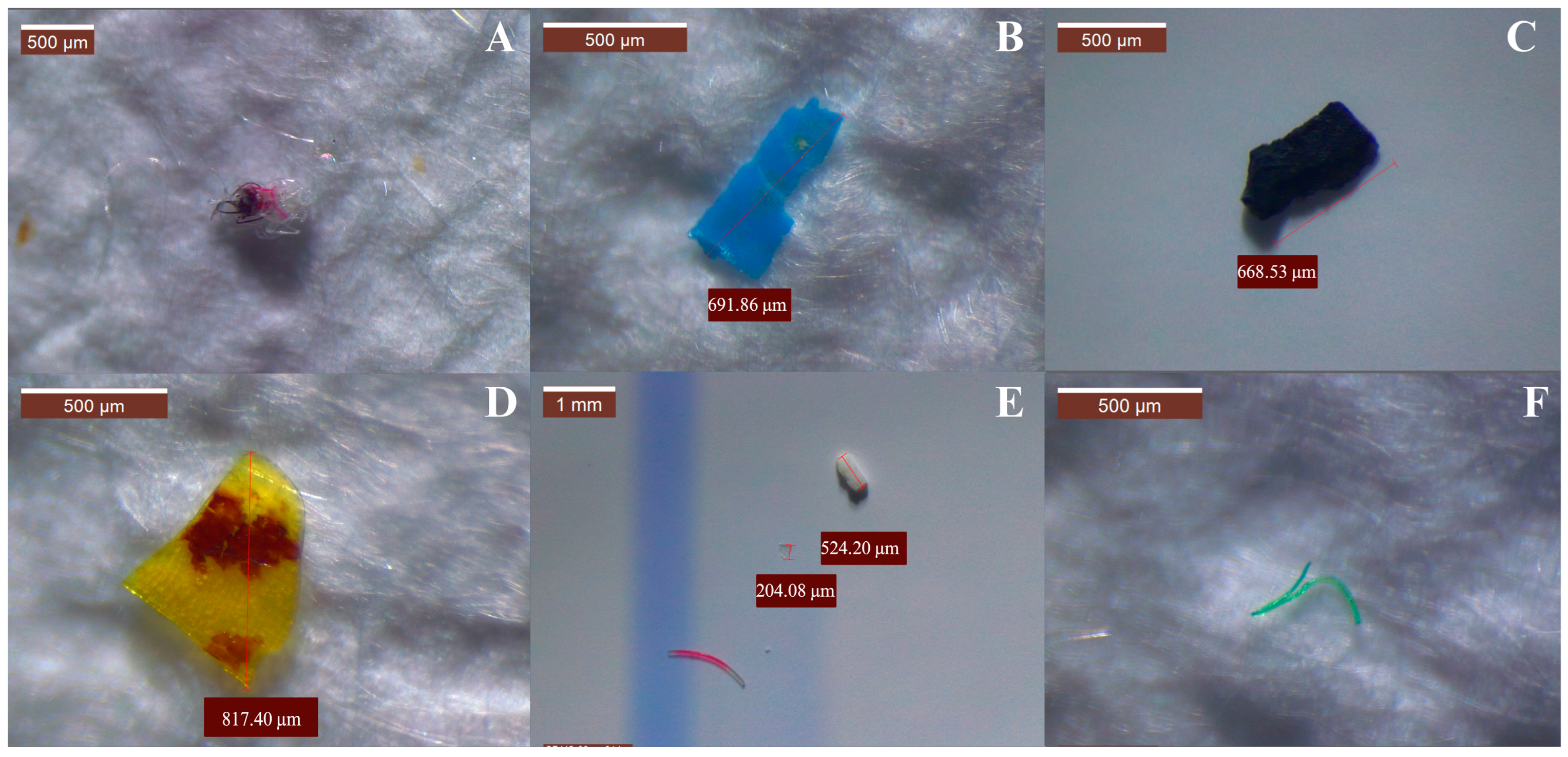 Microplastics 05 00068 g004 Microplastics 05 00068 g004