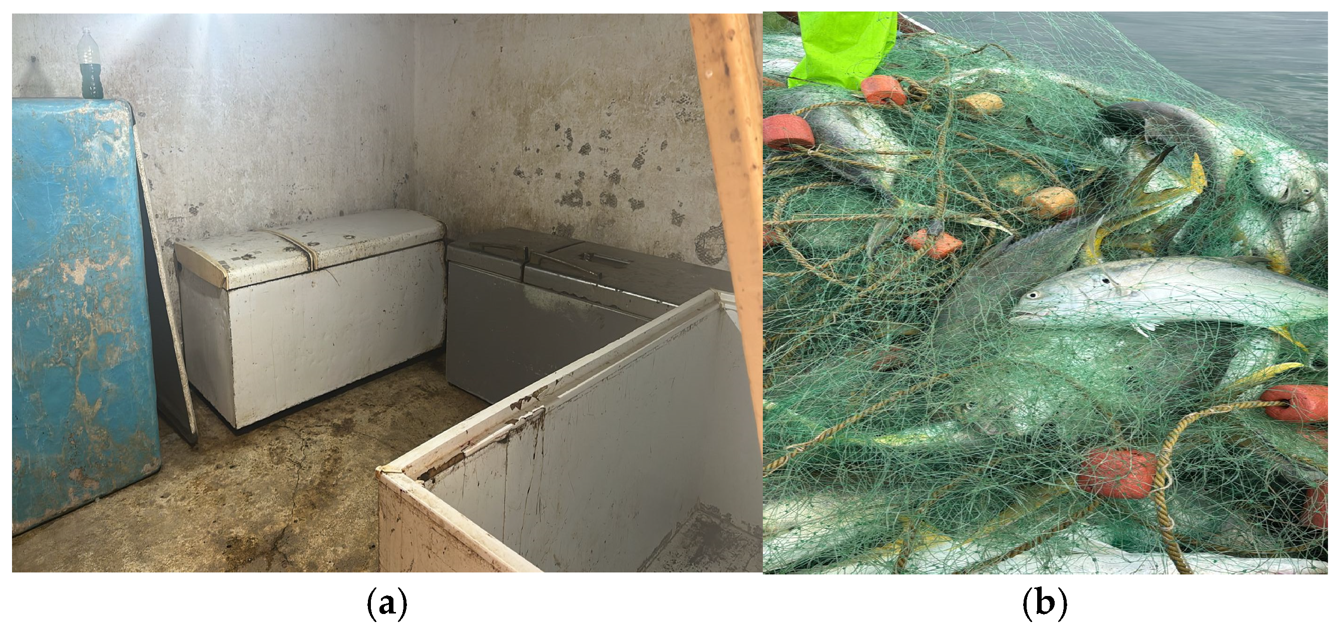 Microplastics 05 00069 g007 Microplastics 05 00069 g007