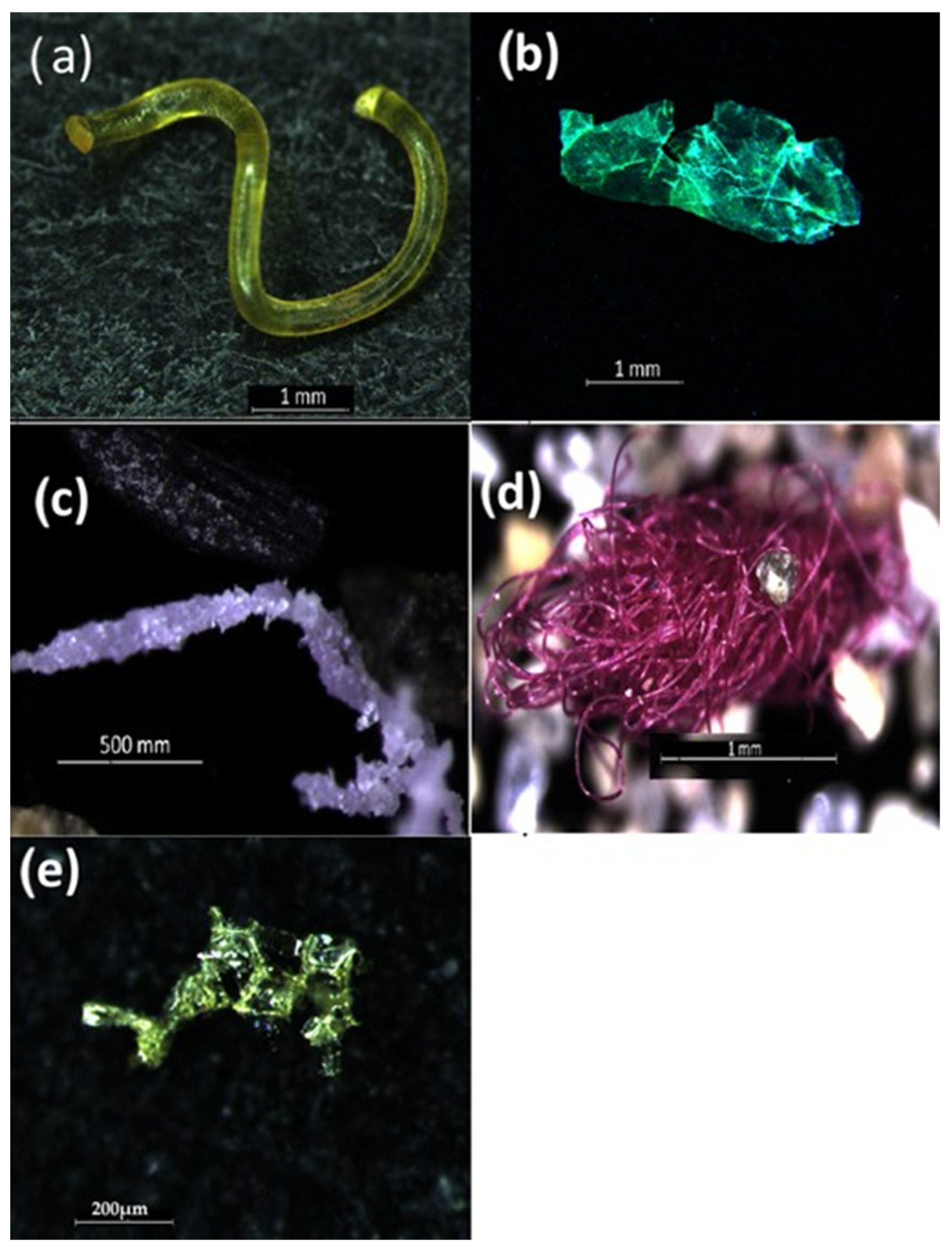Microplastics 05 00070 g003