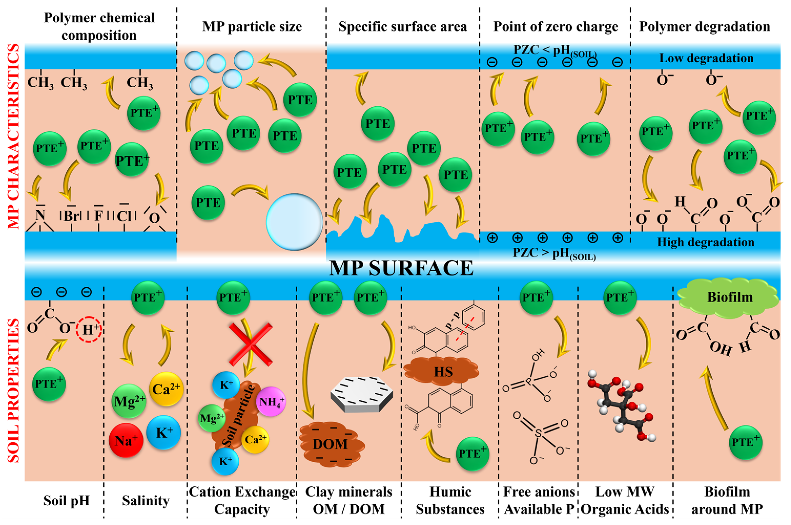 Microplastics 05 00096 g002 Microplastics 05 00096 g002