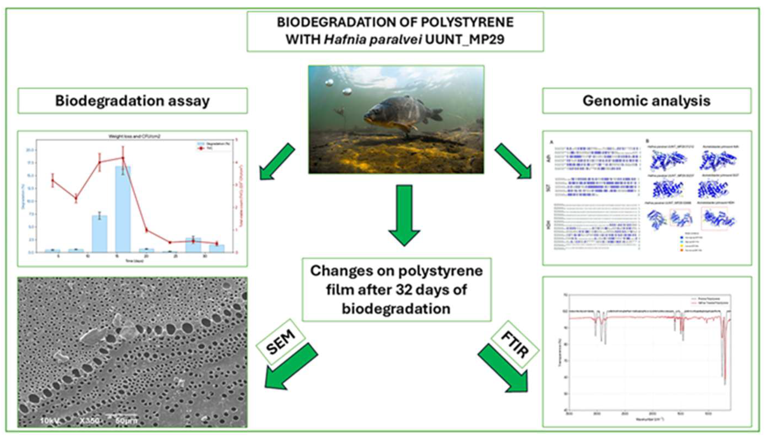 Microplastics 05 00098 g001 Microplastics 05 00098 g001