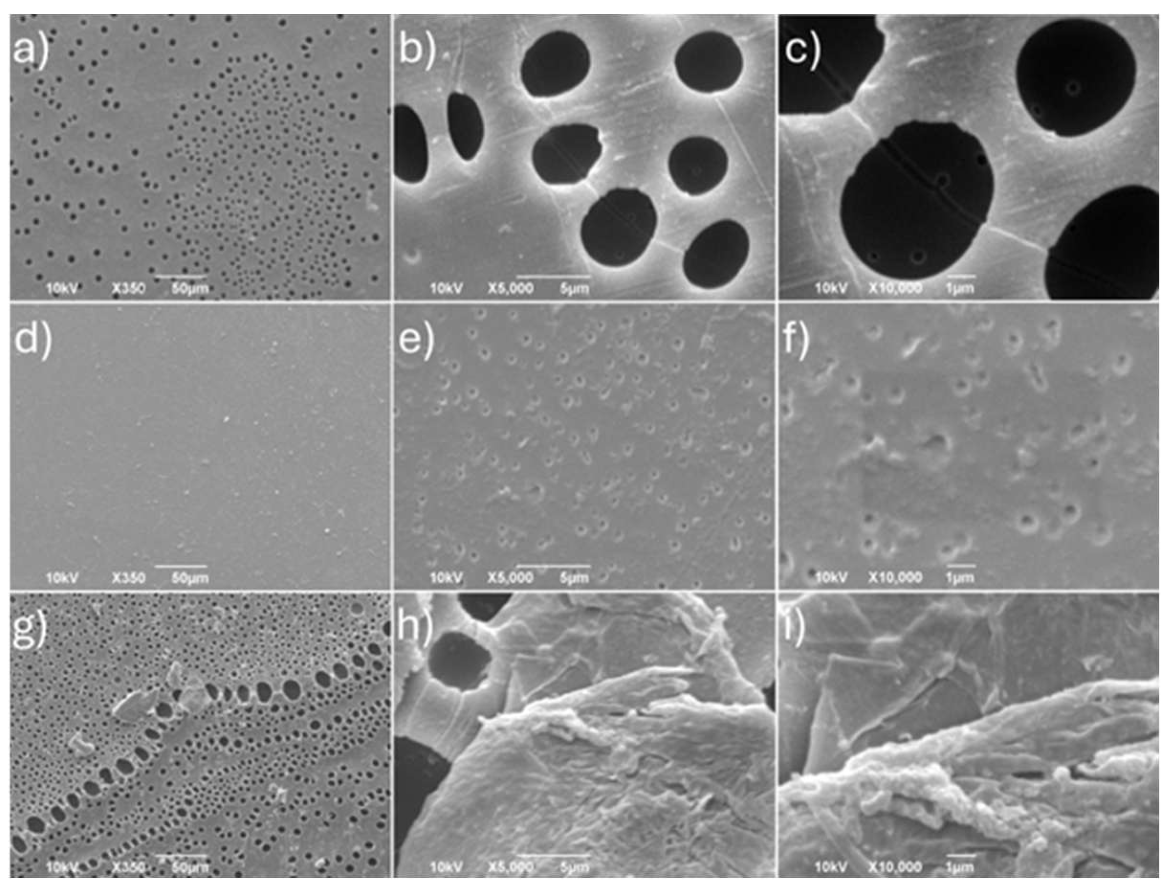 Microplastics 05 00098 g007 Microplastics 05 00098 g007
