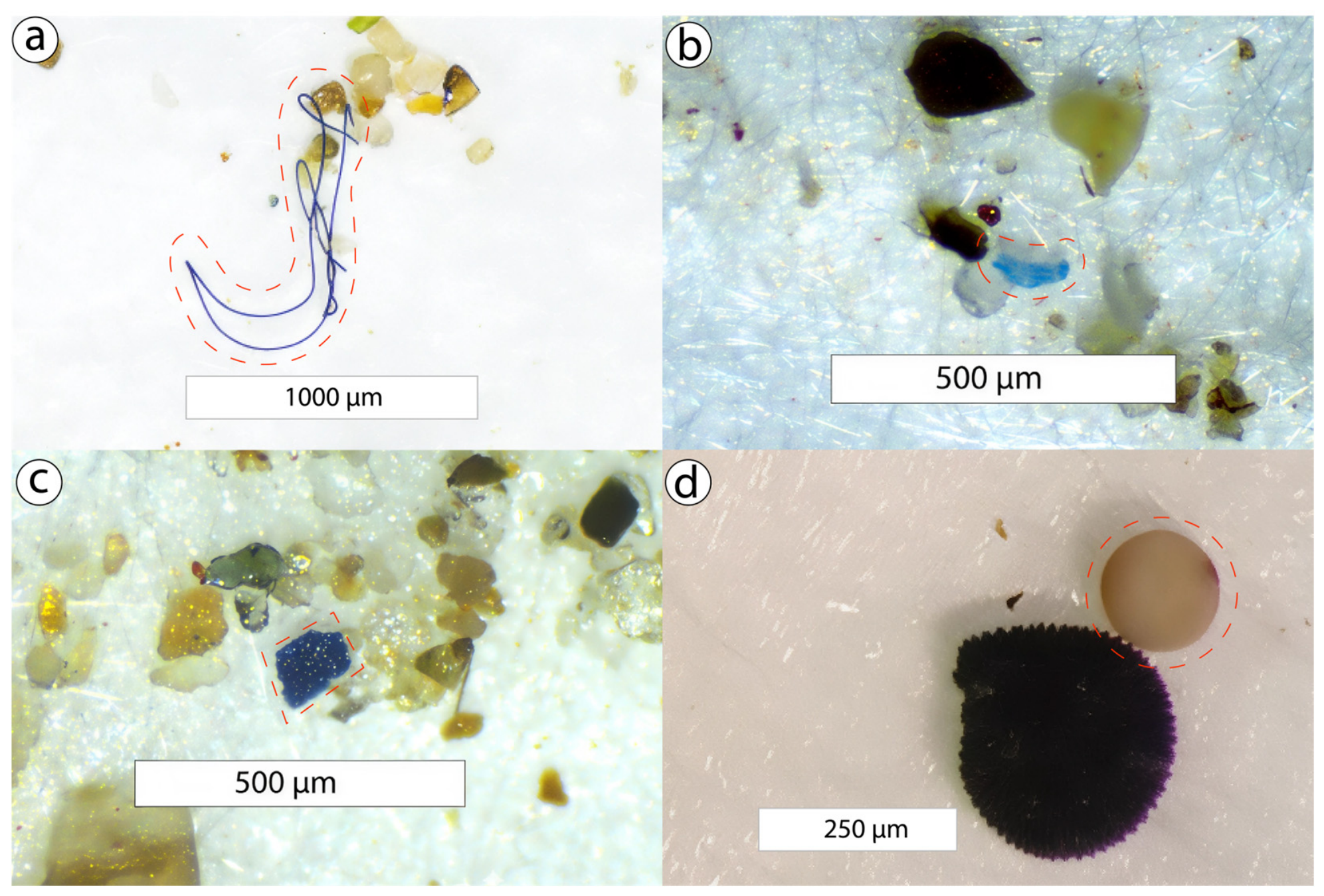 Microplastics 05 00101 g006 Microplastics 05 00101 g006
