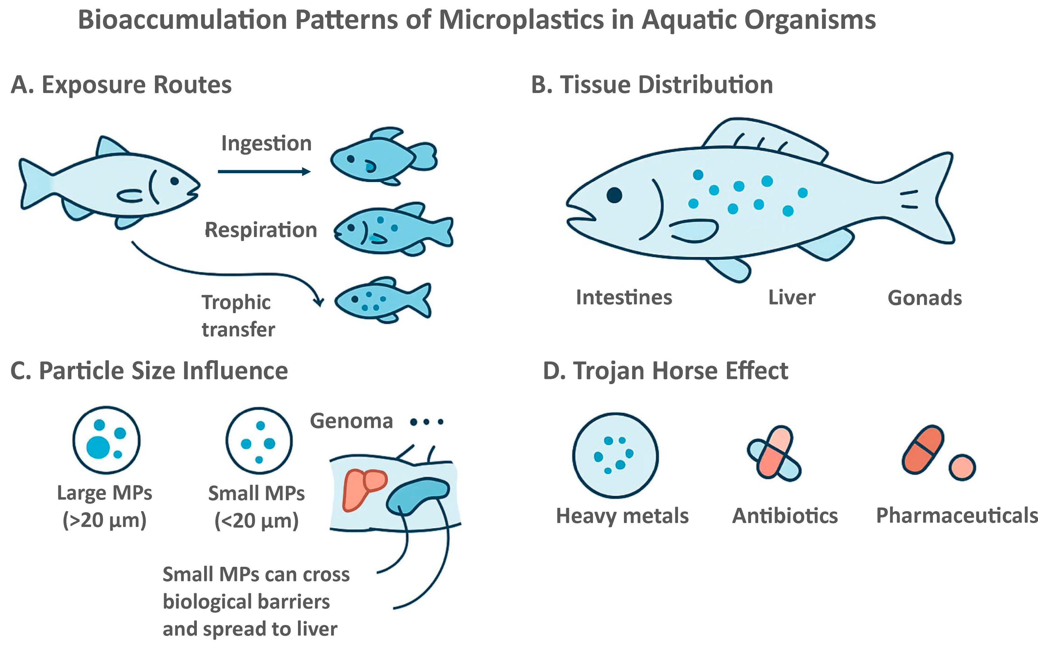 Microplastics 05 00102 g001 Microplastics 05 00102 g001