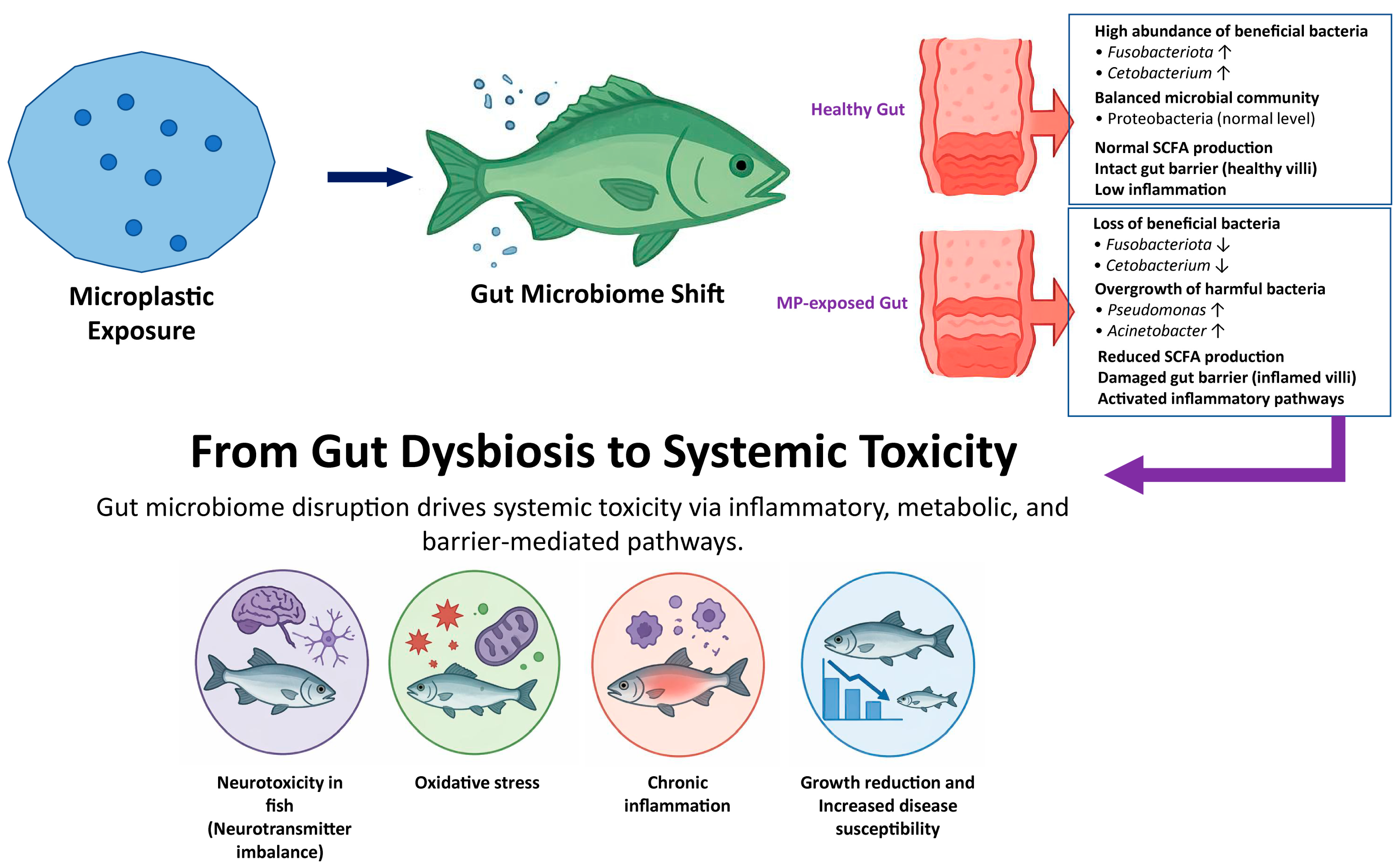 Microplastics 05 00102 g002 Microplastics 05 00102 g002