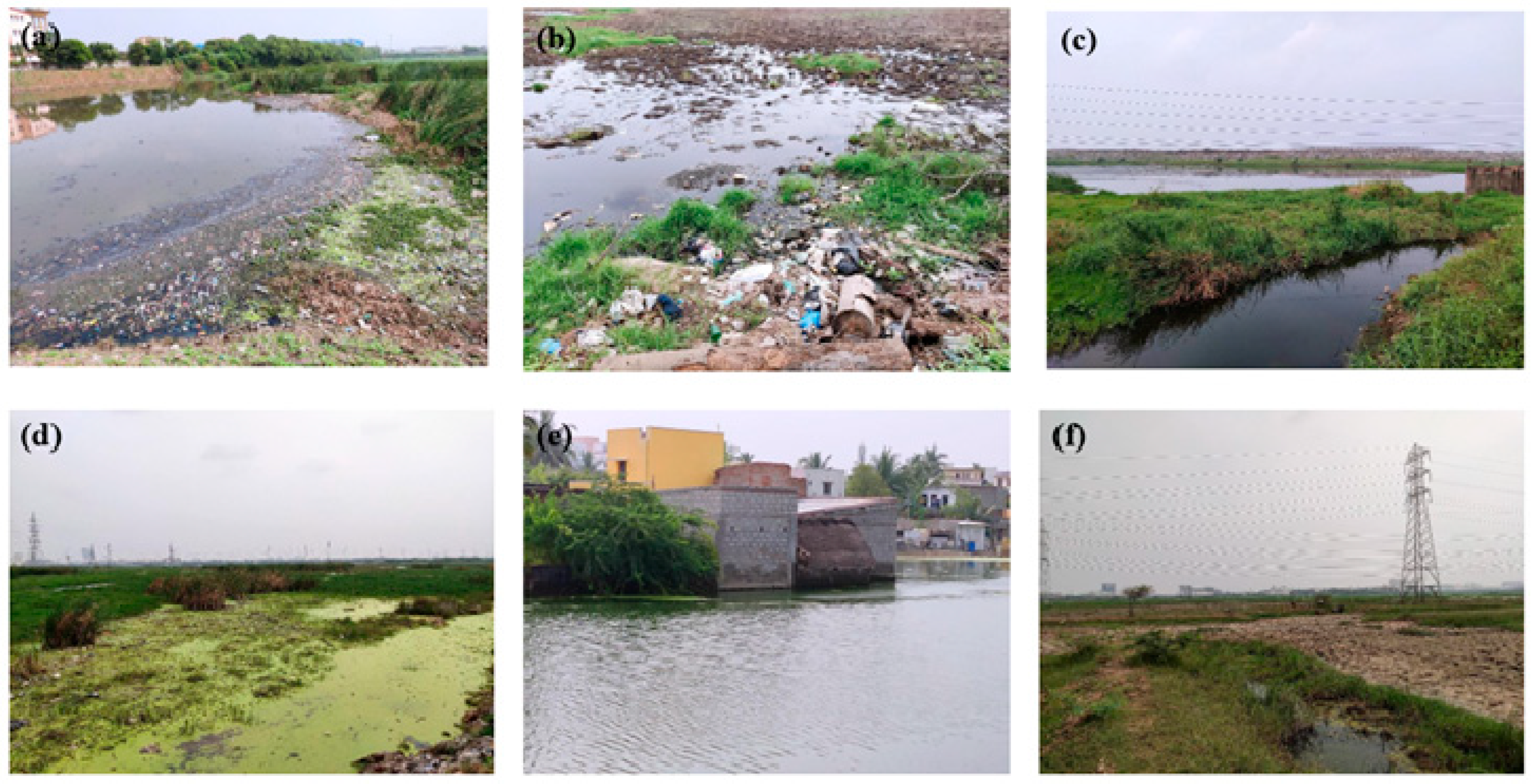 Microplastics 05 00103 g002 Microplastics 05 00103 g002