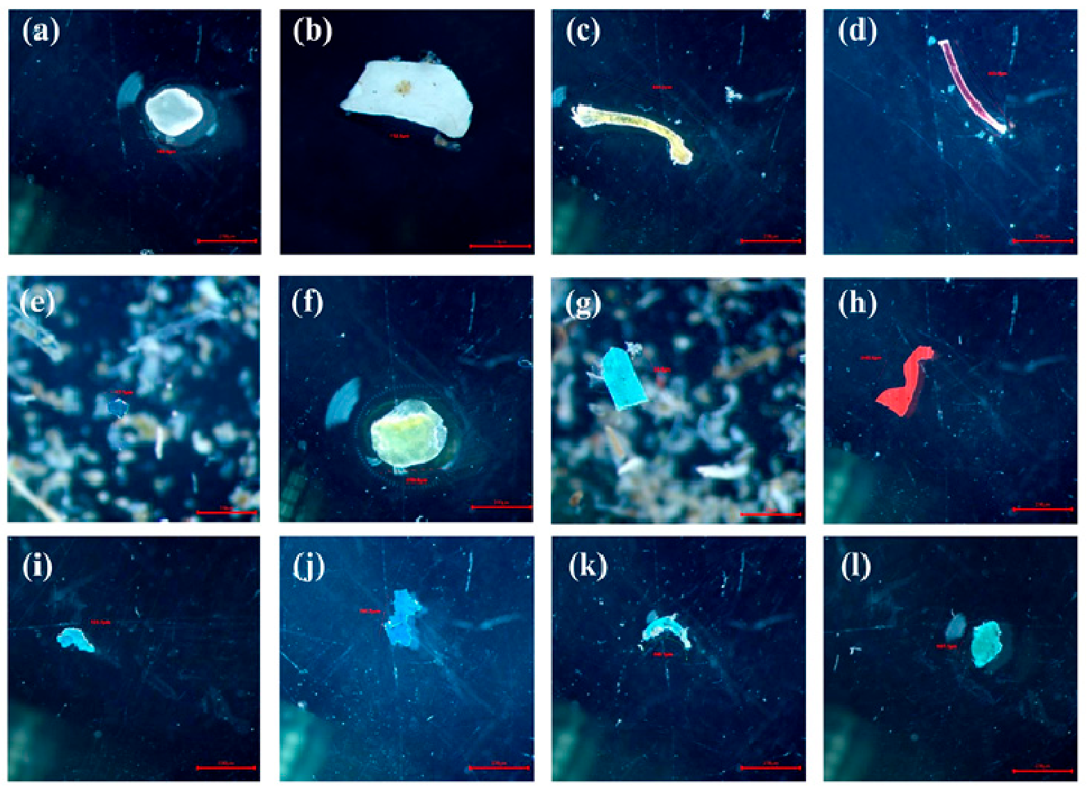 Microplastics 05 00103 g003 Microplastics 05 00103 g003