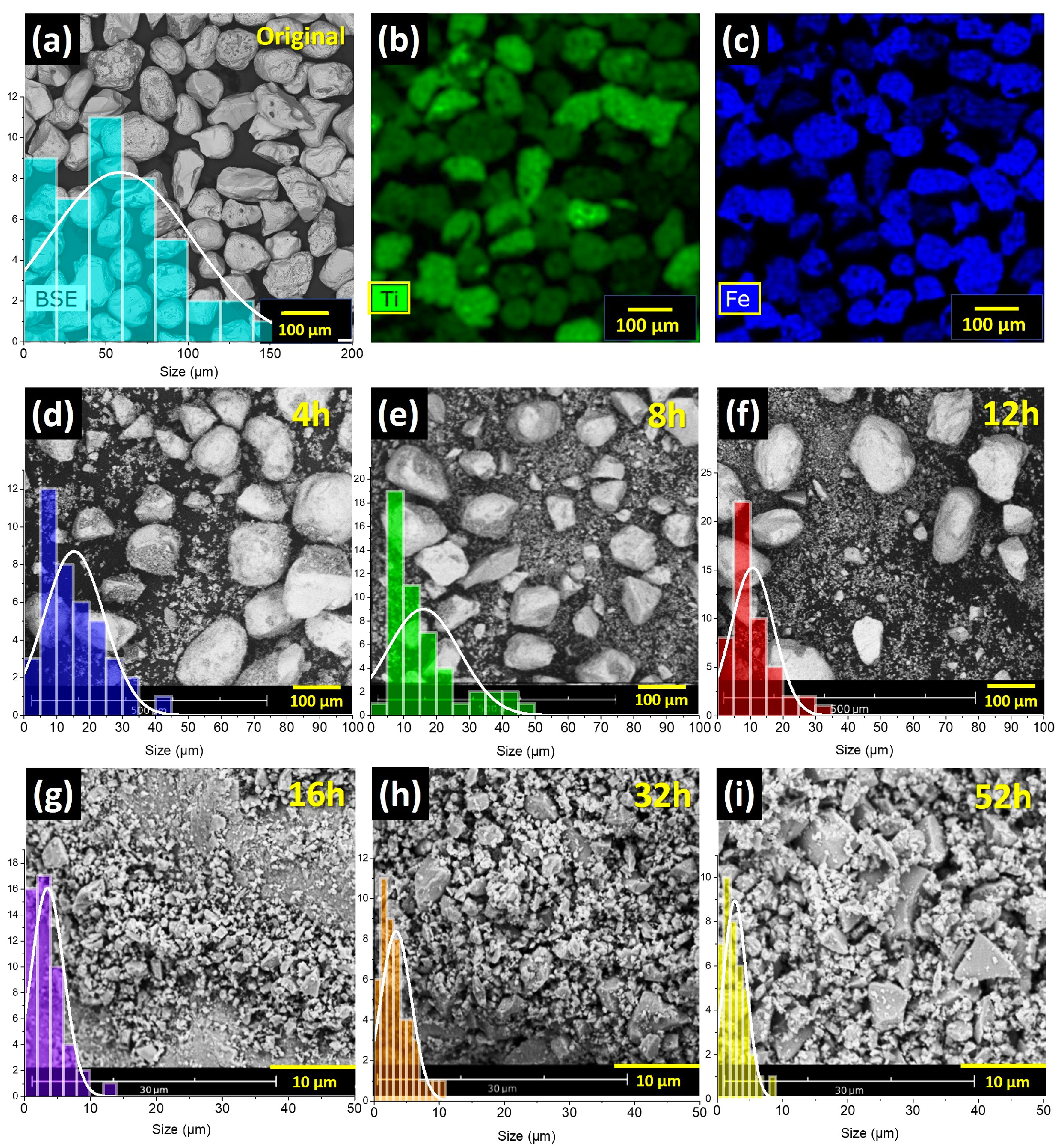 Microplastics 05 00104 g001 Microplastics 05 00104 g001