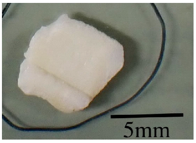 Microplastics 05 00108 i001 Microplastics 05 00108 i001