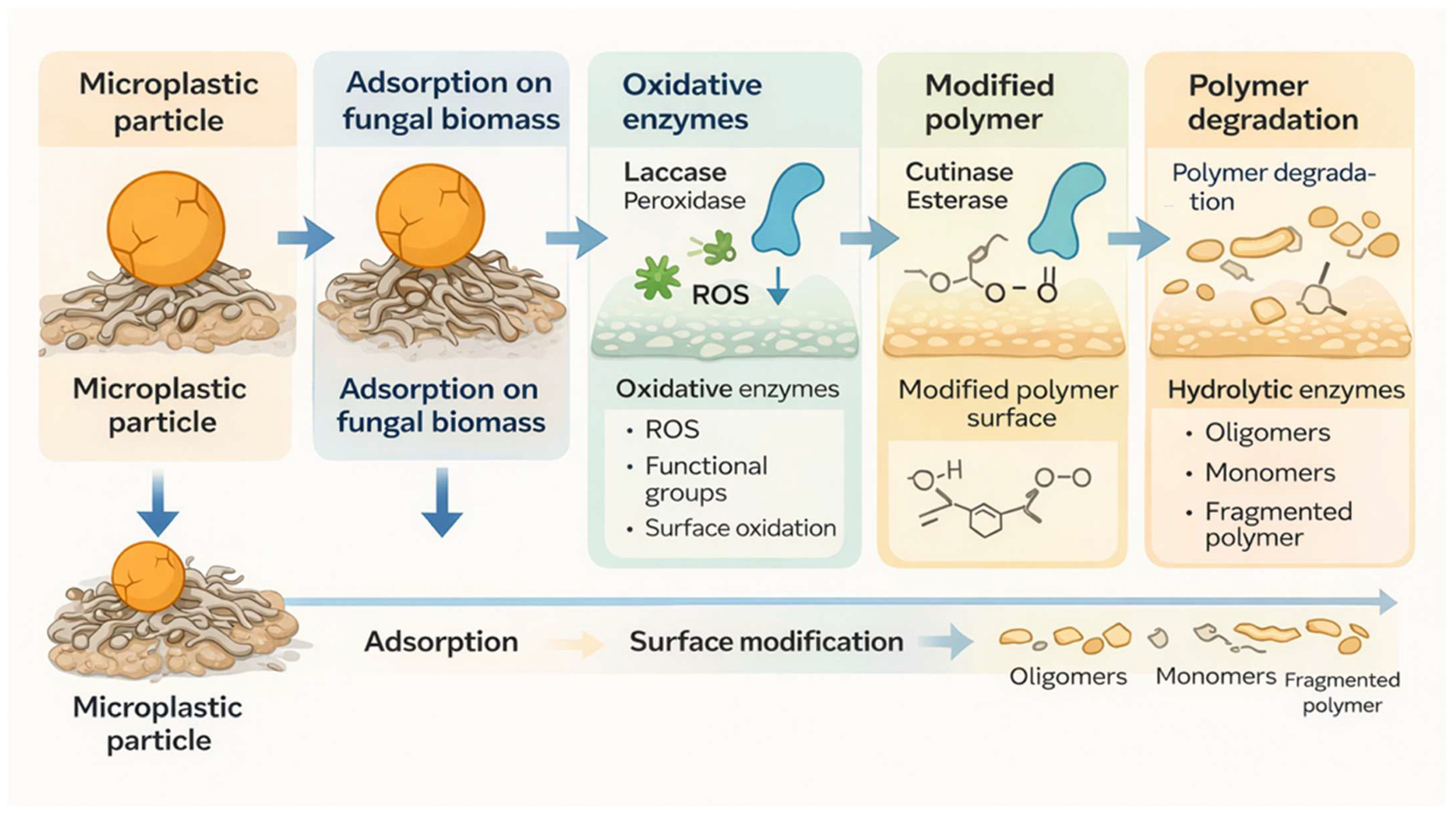 Microplastics 05 00109 g002 Microplastics 05 00109 g002
