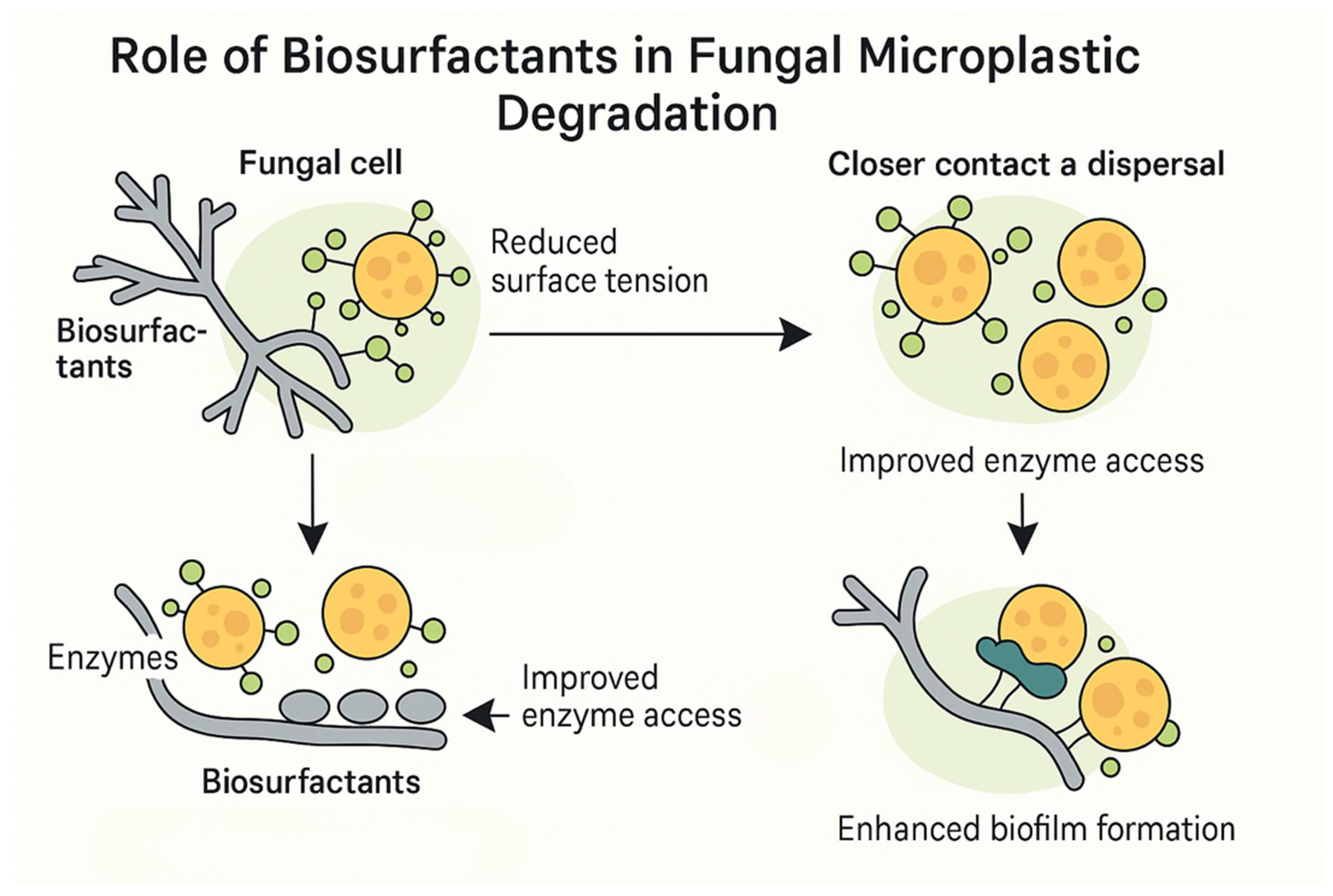 Microplastics 05 00109 g003 Microplastics 05 00109 g003
