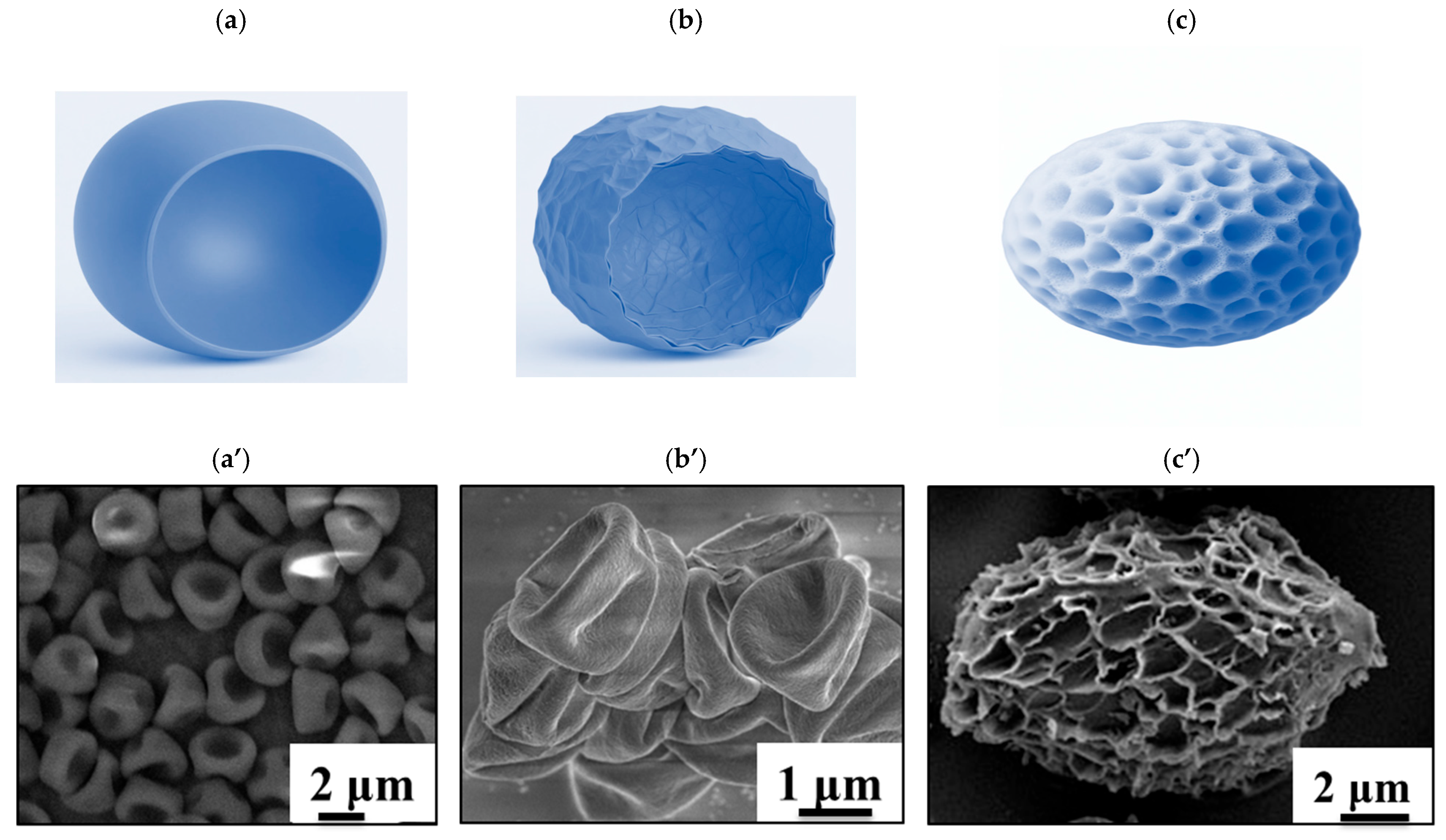Microplastics 05 00110 g001 Microplastics 05 00110 g001