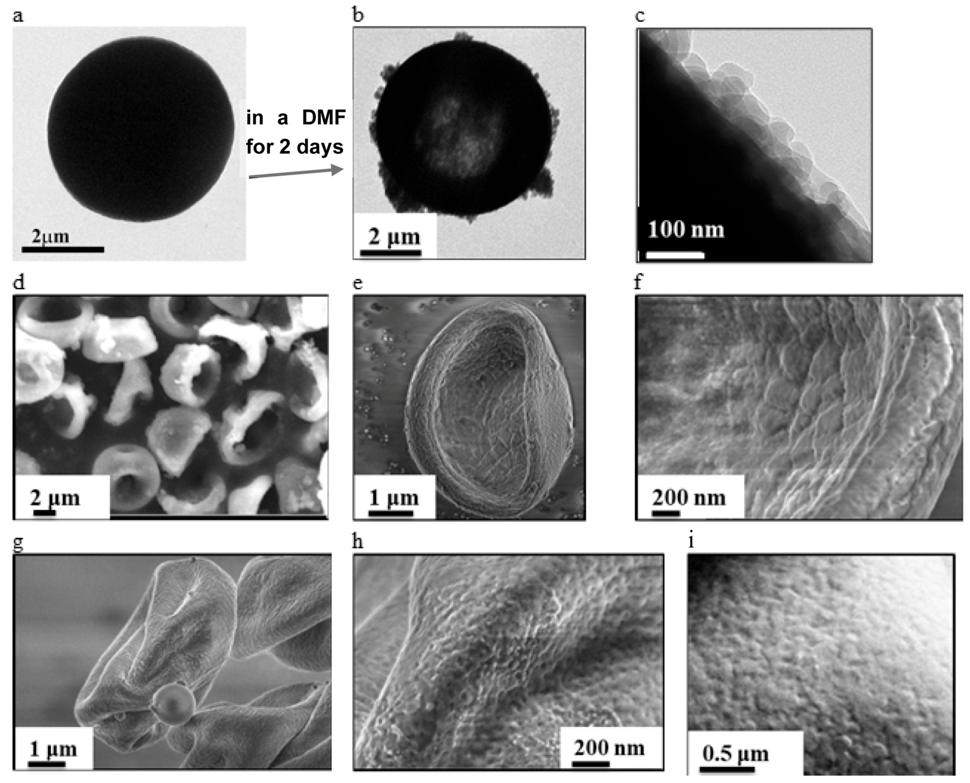Microplastics 05 00110 g002 Microplastics 05 00110 g002