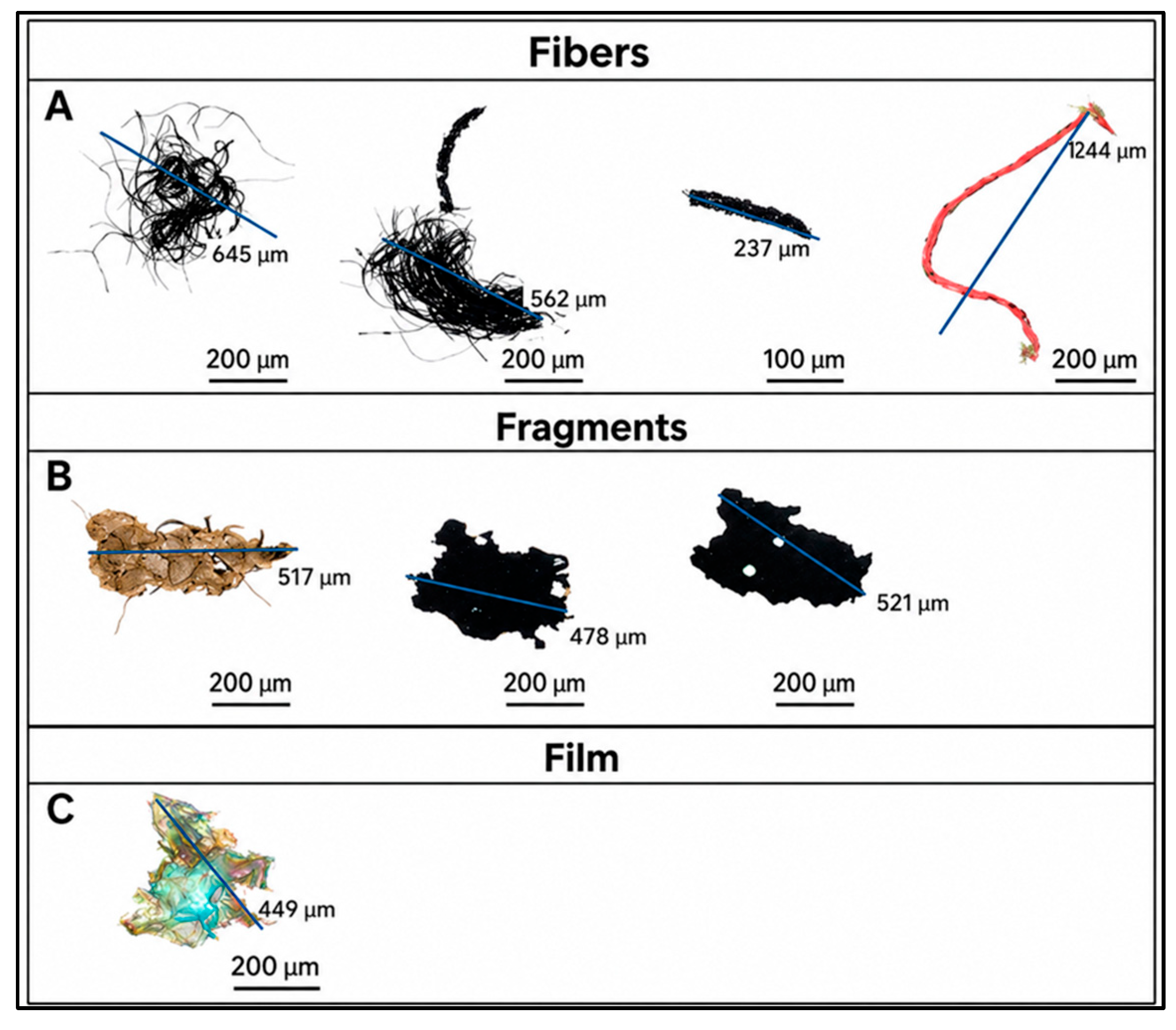 Microplastics 05 00116 g002 Microplastics 05 00116 g002