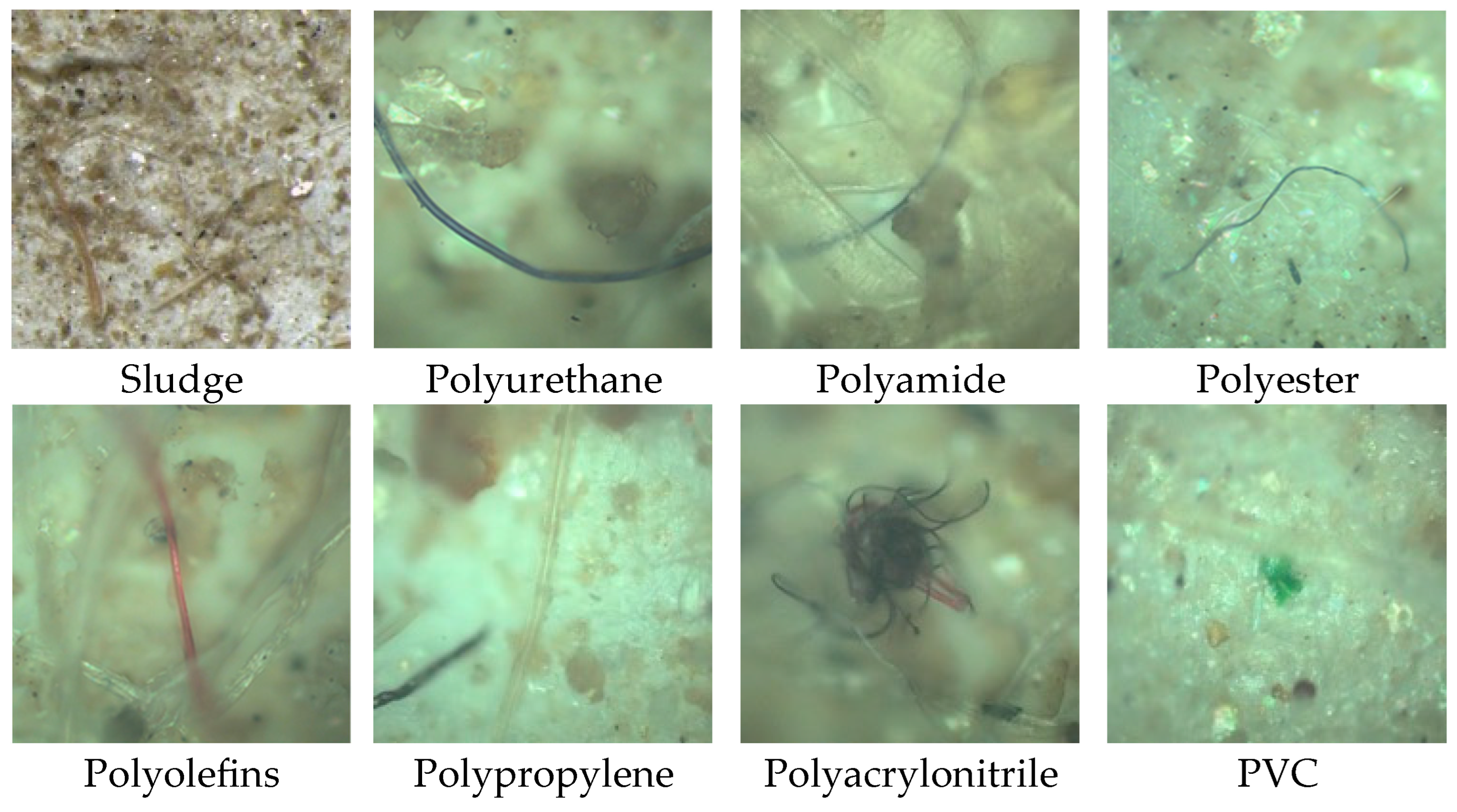 Microplastics 05 00118 g005 Microplastics 05 00118 g005