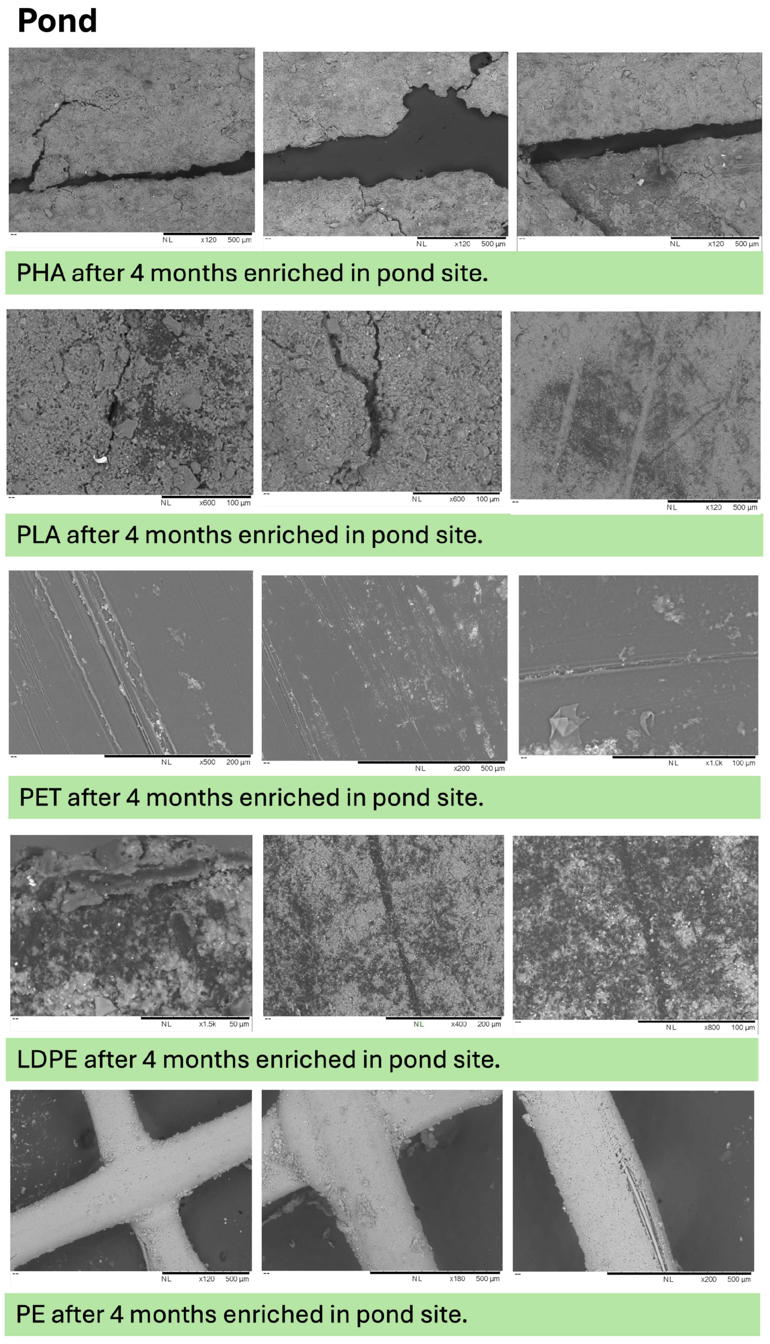 Microplastics 05 00119 g0a10 Microplastics 05 00119 g0a10