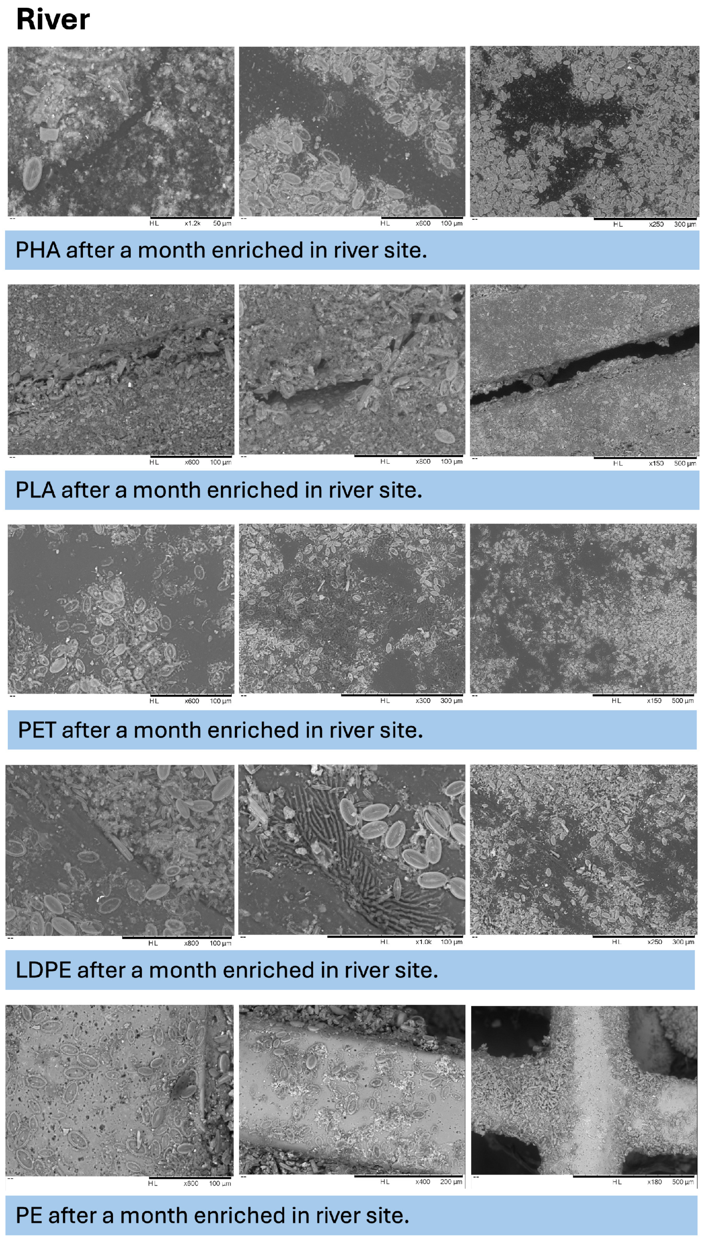 Microplastics 05 00119 g0a4 Microplastics 05 00119 g0a4