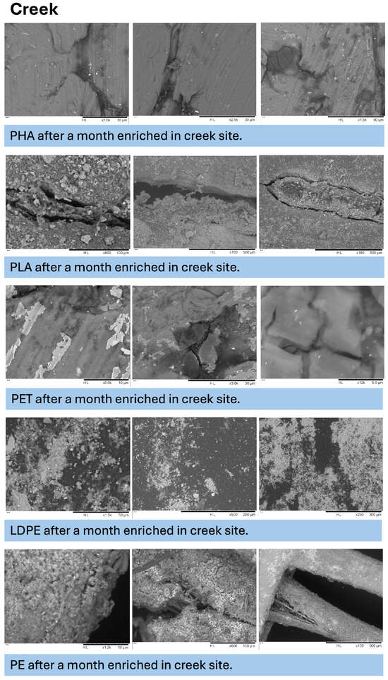 Microplastics 05 00119 g0a5