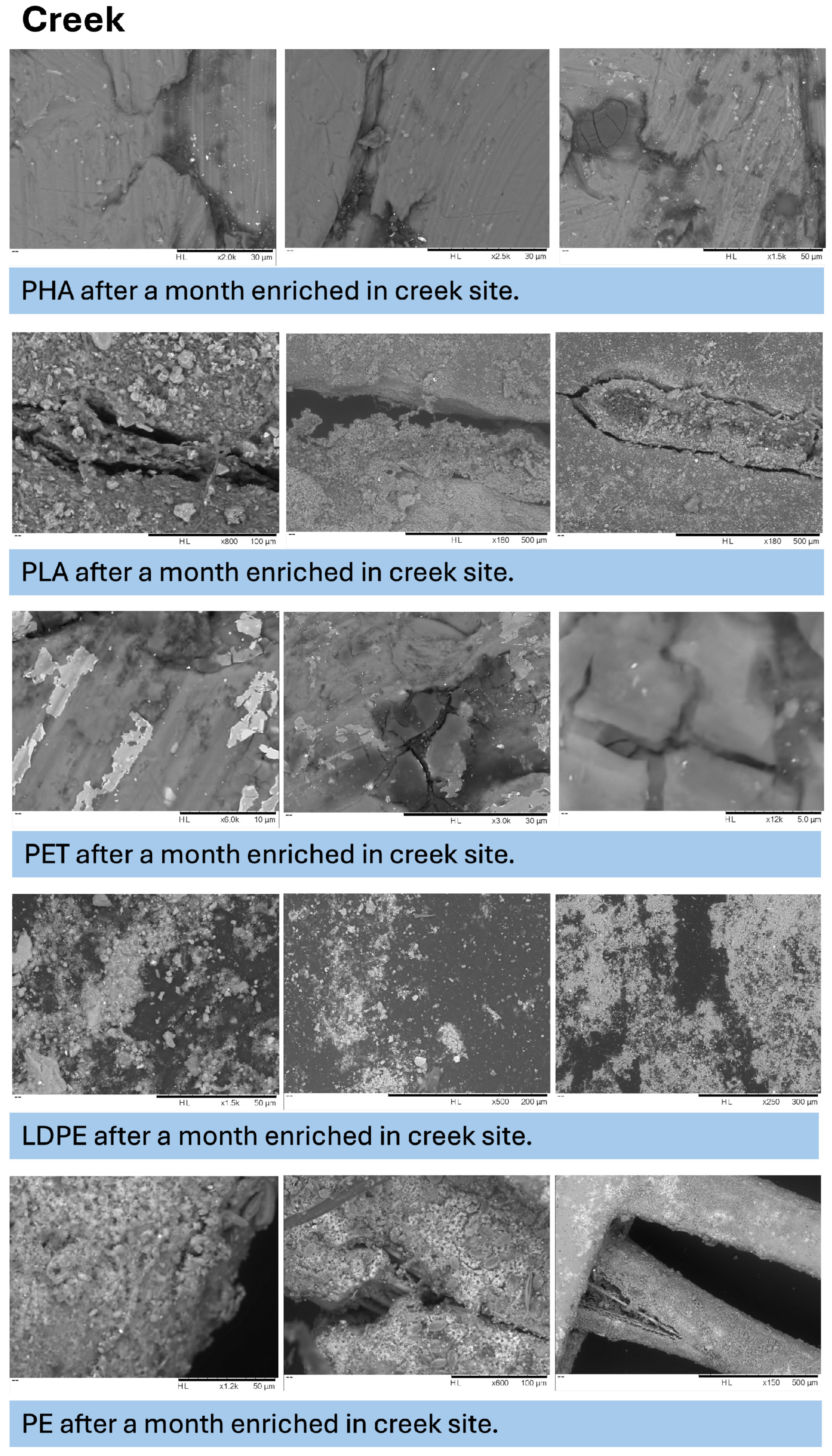 Microplastics 05 00119 g0a5 Microplastics 05 00119 g0a5
