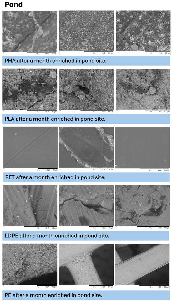 Microplastics 05 00119 g0a6