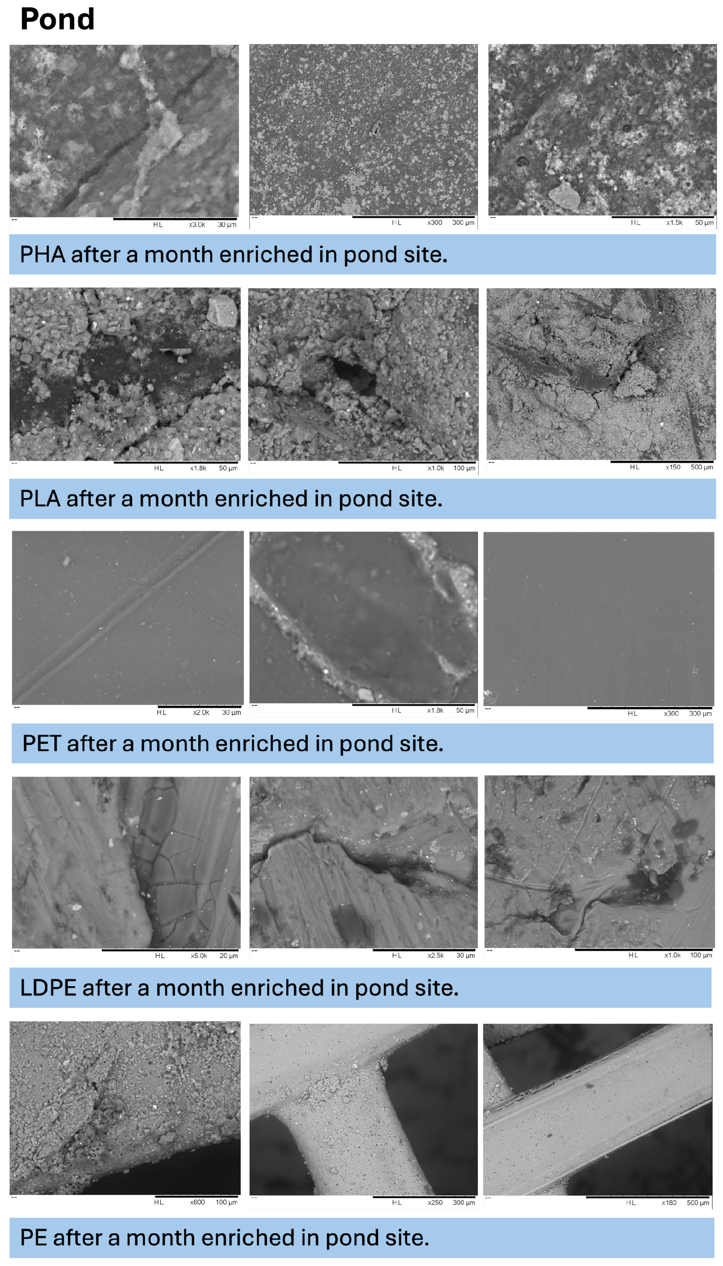 Microplastics 05 00119 g0a6 Microplastics 05 00119 g0a6