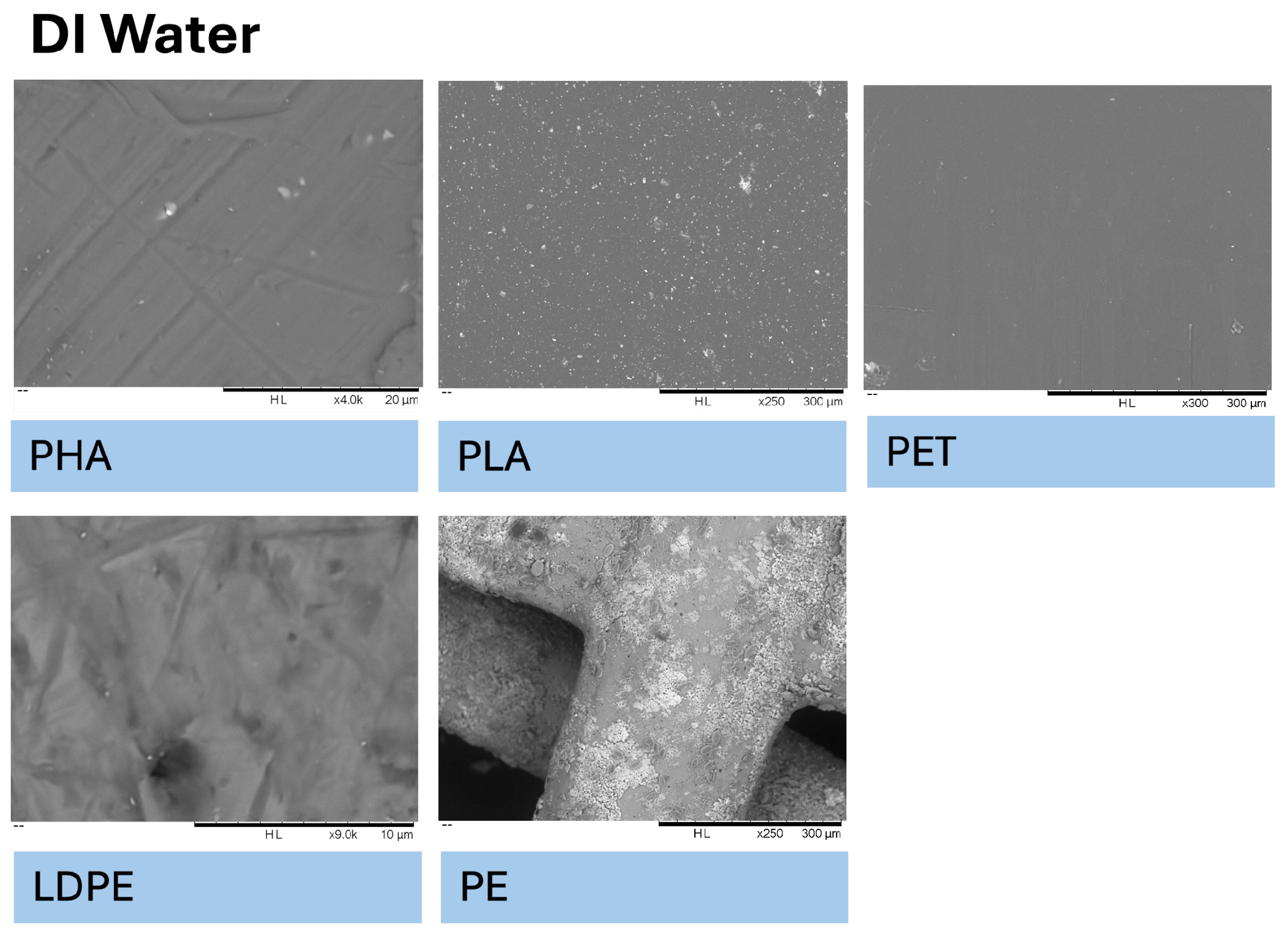 Microplastics 05 00119 g0a7 Microplastics 05 00119 g0a7