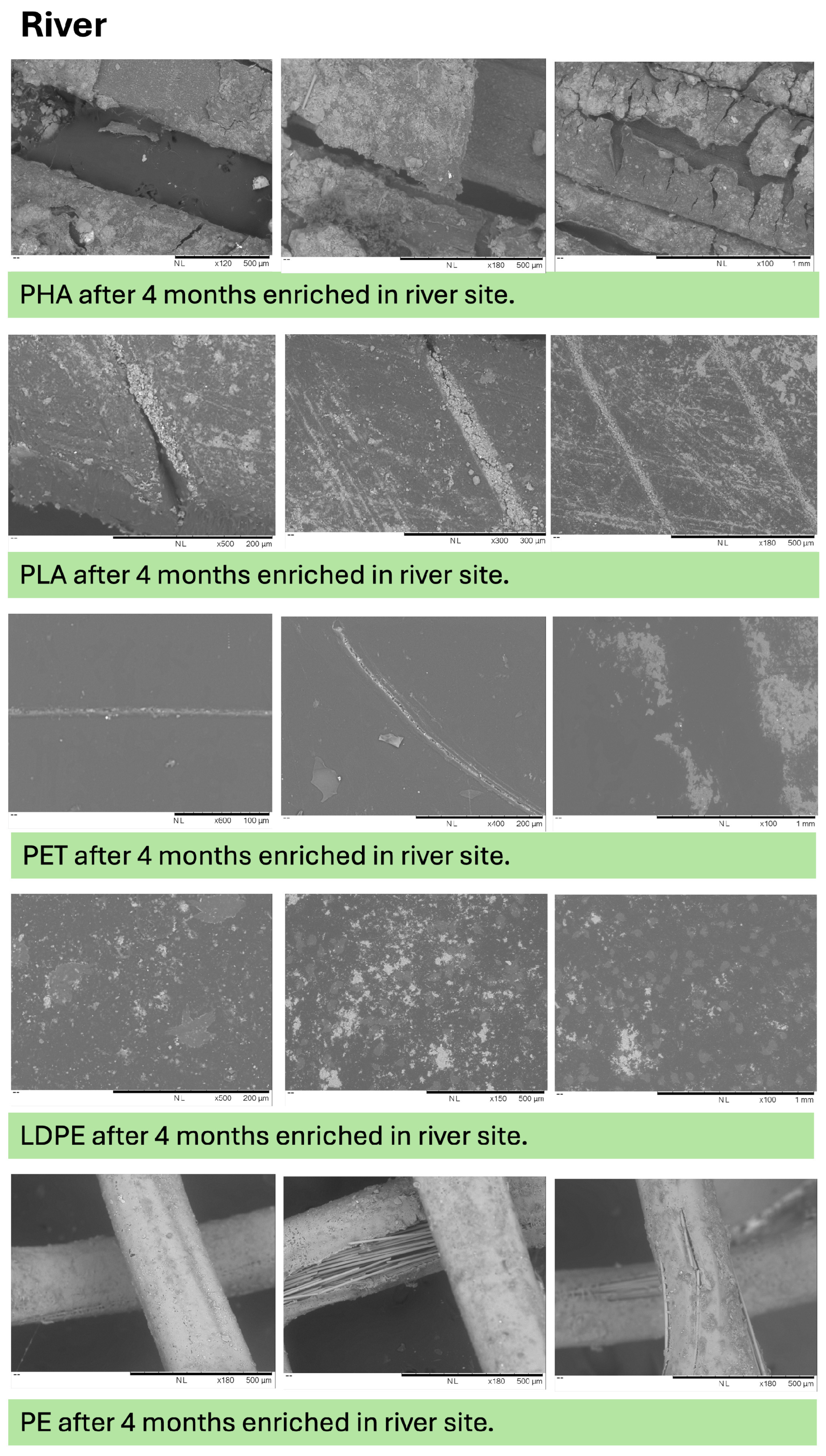 Microplastics 05 00119 g0a8 Microplastics 05 00119 g0a8