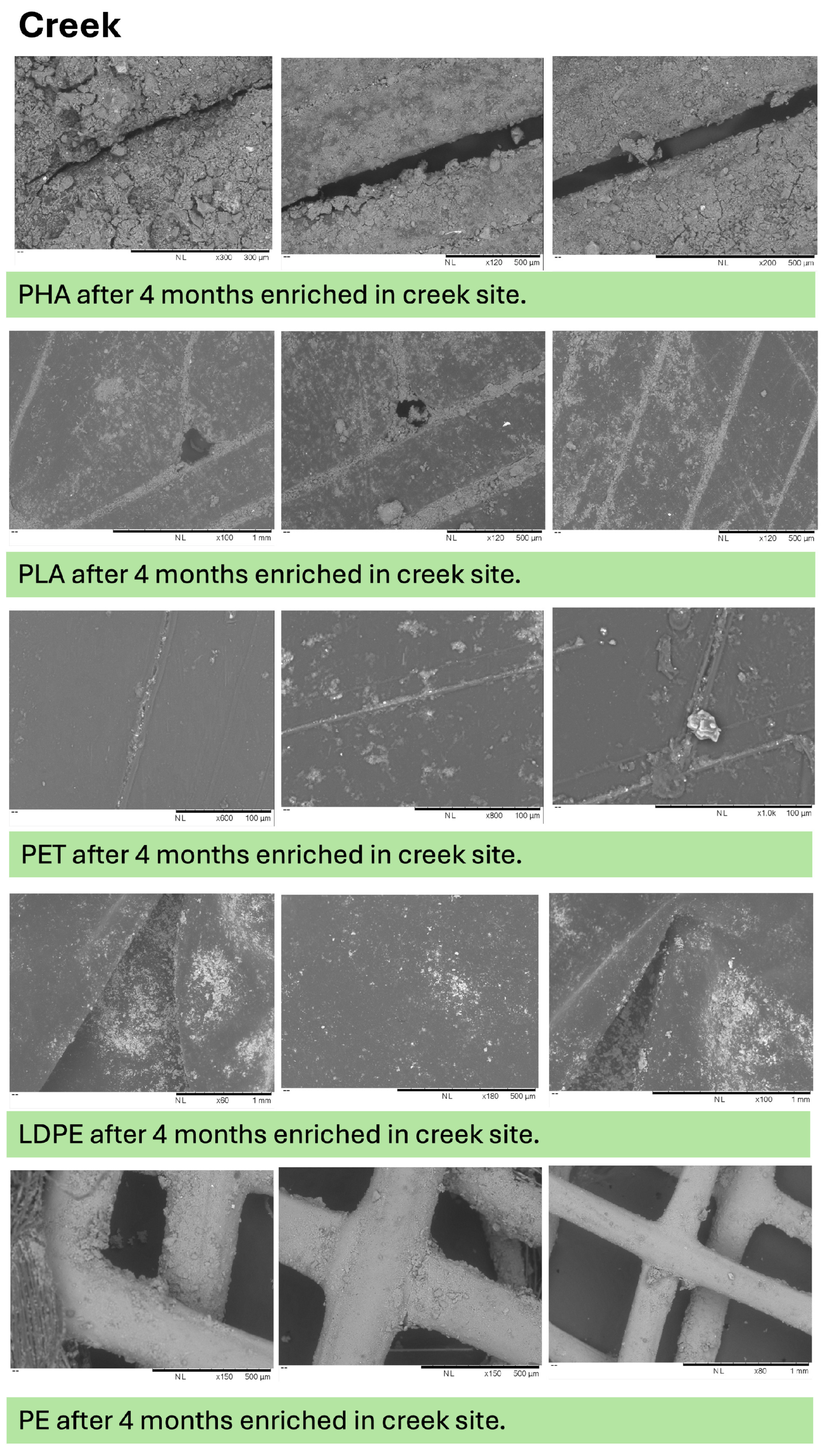 Microplastics 05 00119 g0a9 Microplastics 05 00119 g0a9
