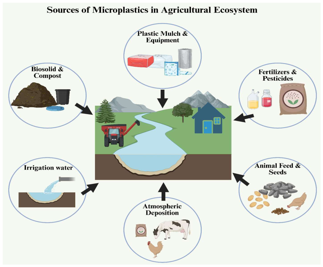 Microplastics 05 00120 g002 Microplastics 05 00120 g002