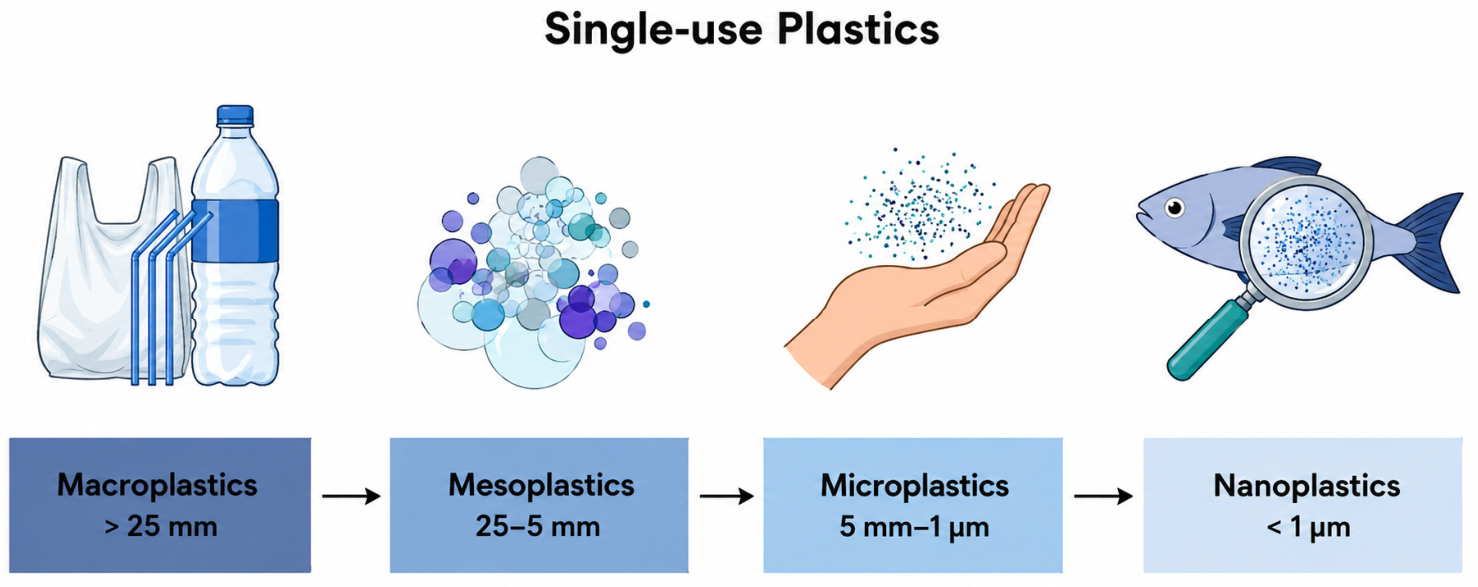 Microplastics 05 00121 g001 Microplastics 05 00121 g001