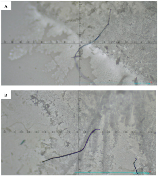 Microplastics 05 00125 g004a Microplastics 05 00125 g004a
