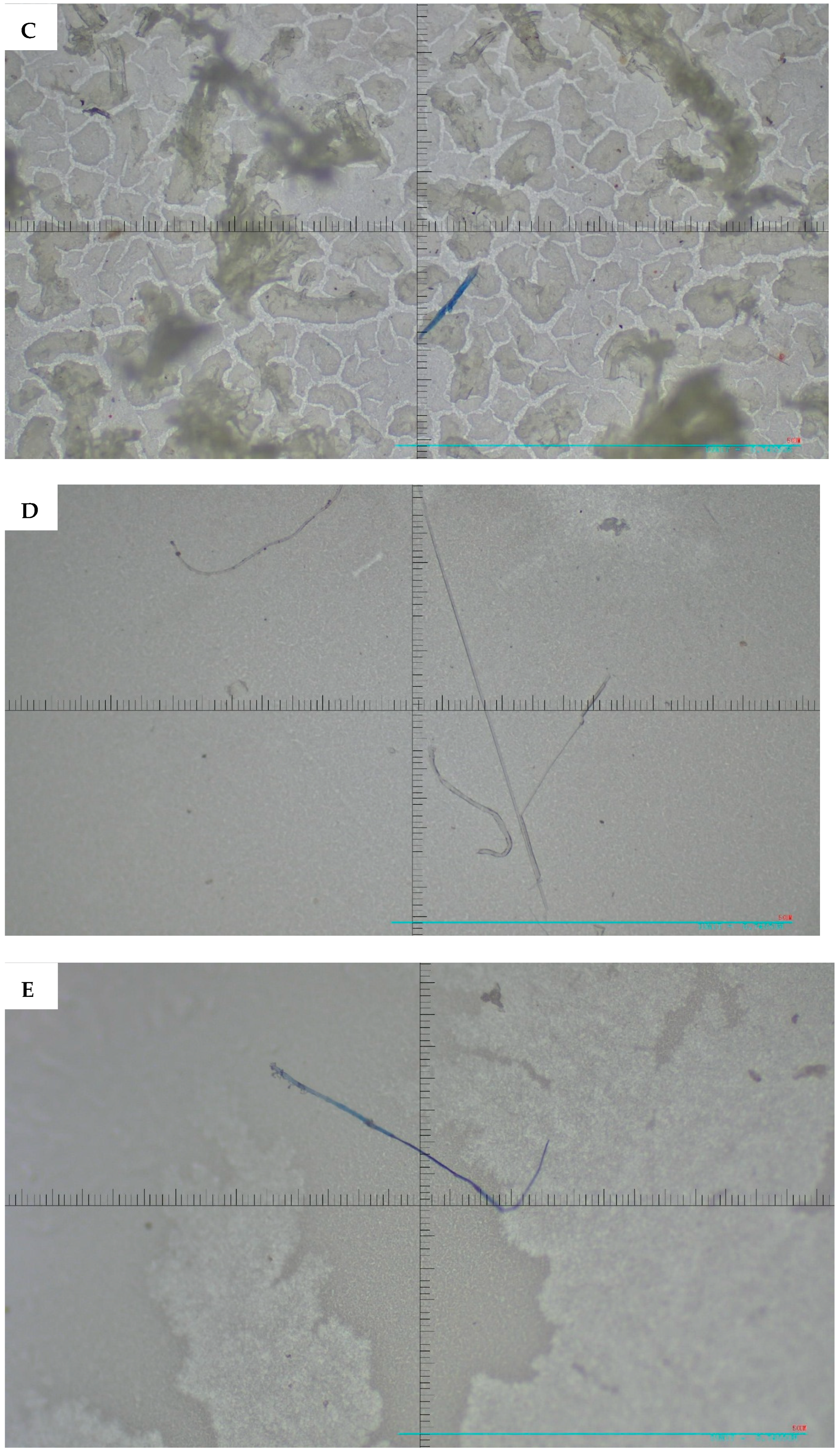 Microplastics 05 00125 g004b Microplastics 05 00125 g004b