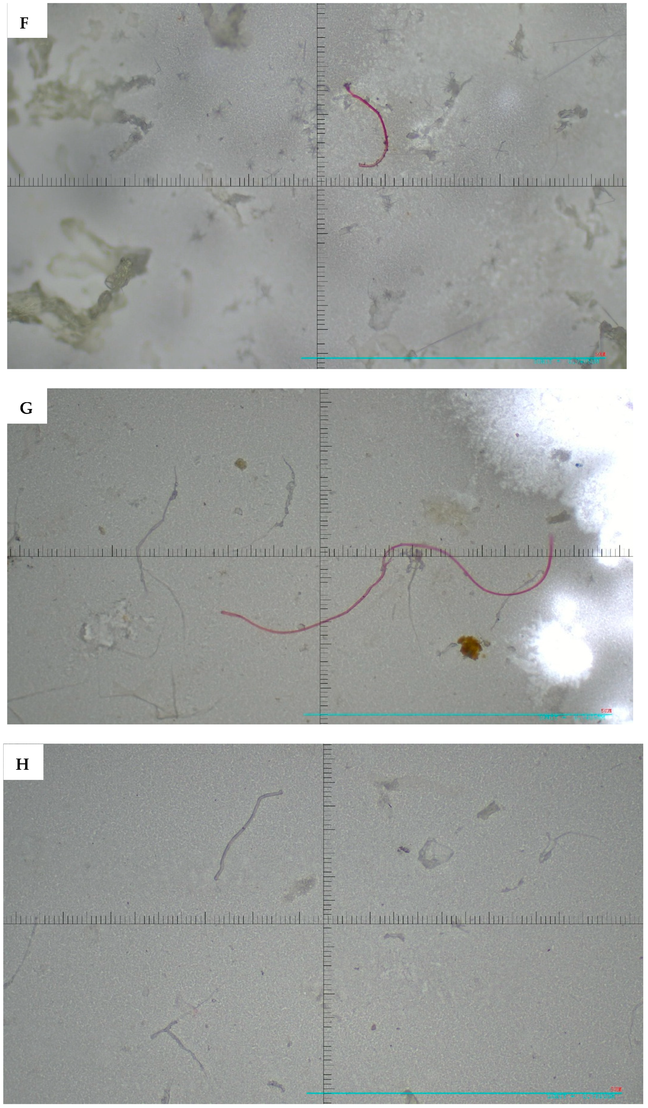 Microplastics 05 00125 g004c Microplastics 05 00125 g004c