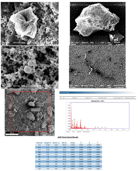 Microplastics 05 00125 g005a Microplastics 05 00125 g005a