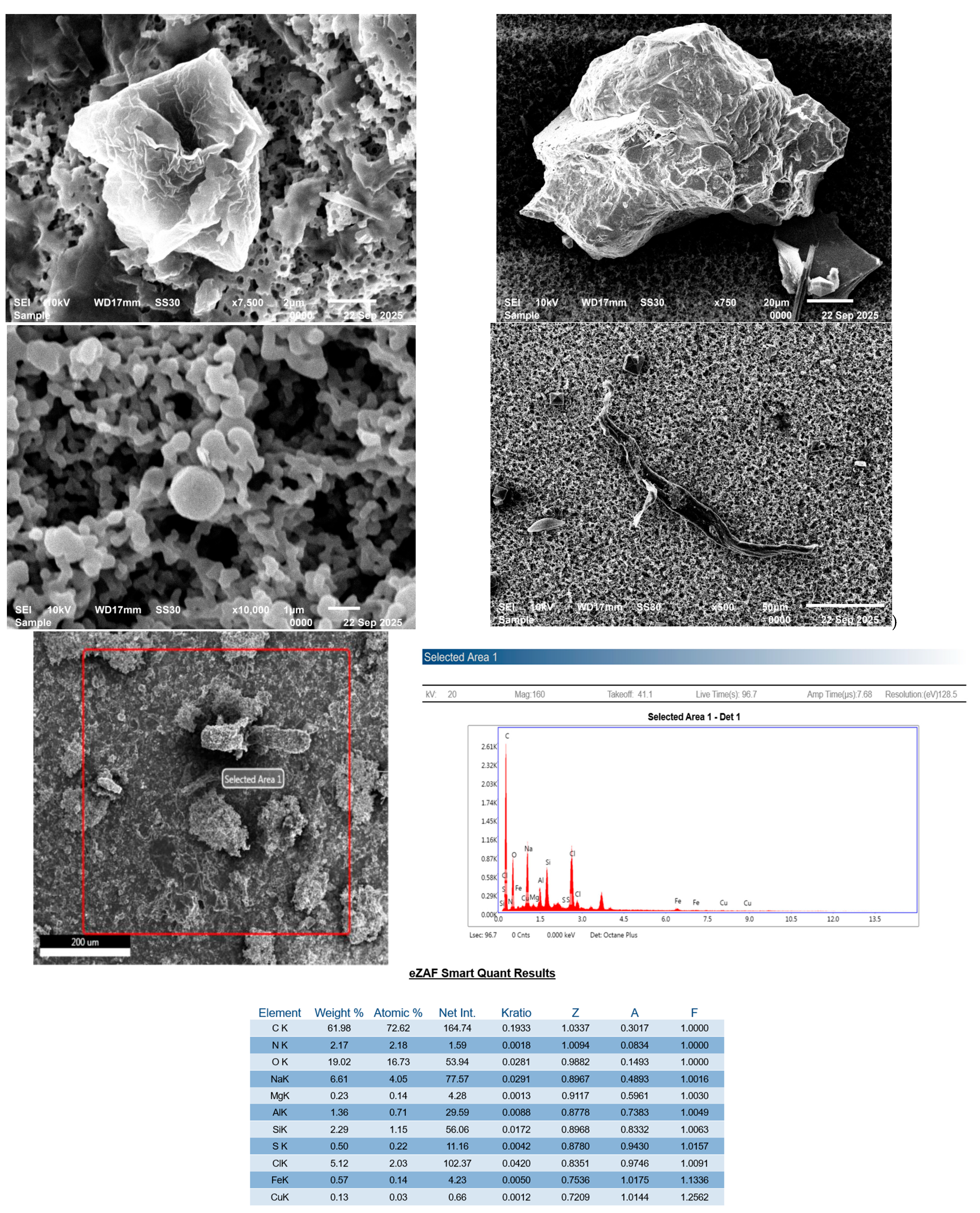 Microplastics 05 00125 g005a Microplastics 05 00125 g005a