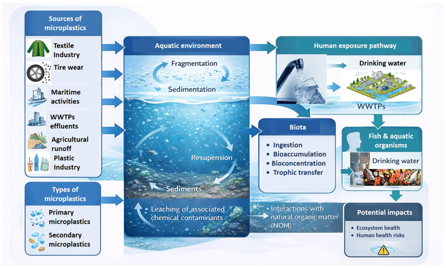 Microplastics 05 00130 g003 Microplastics 05 00130 g003