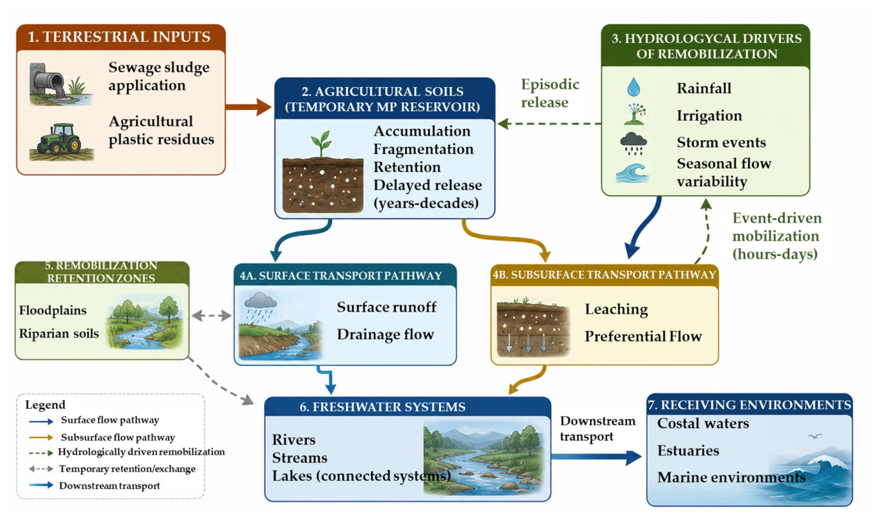 Microplastics 05 00130 g006 Microplastics 05 00130 g006