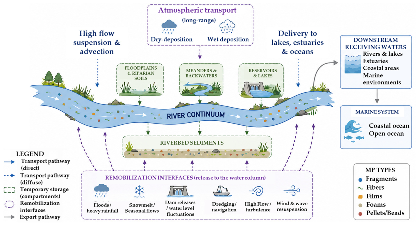 Microplastics 05 00130 g007 Microplastics 05 00130 g007